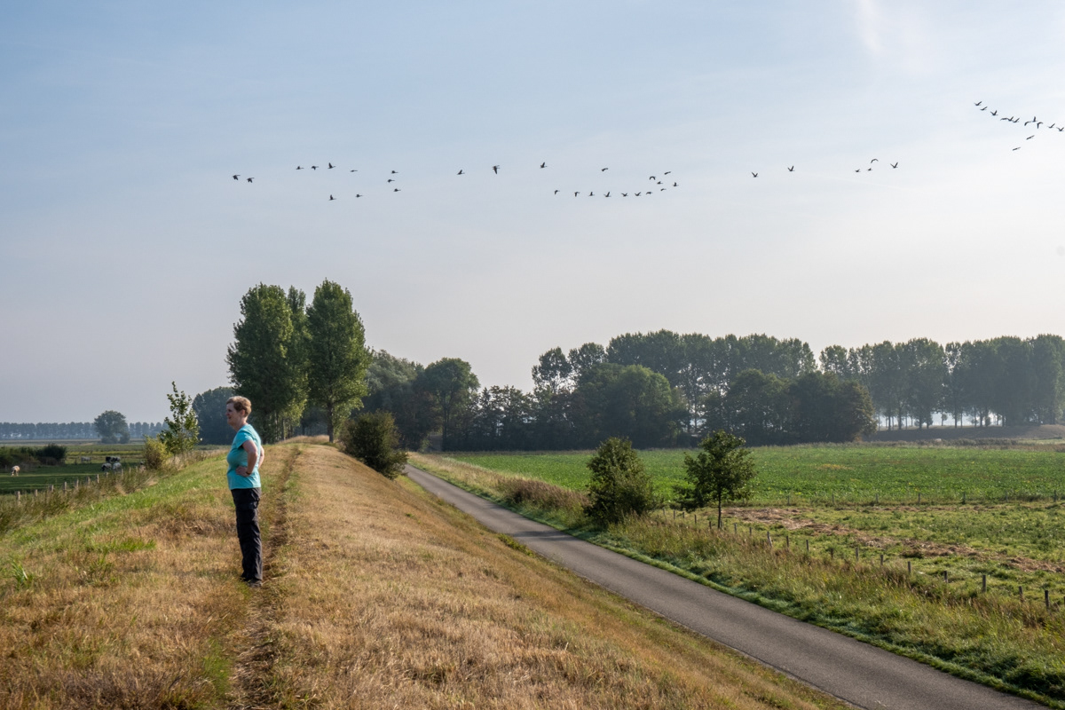 Tussen Nieuw-Namen en Hulst
