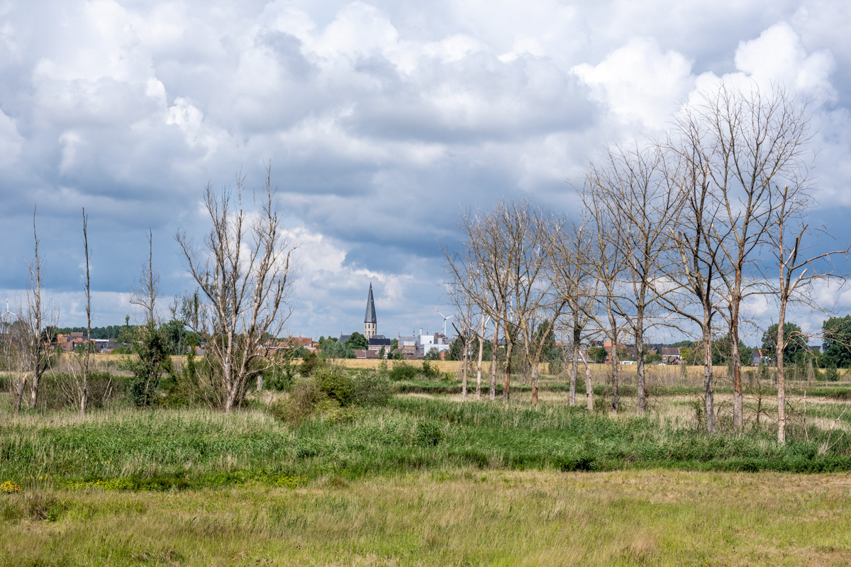 Gecontroleerd overstromingsgebied - Kruibeke