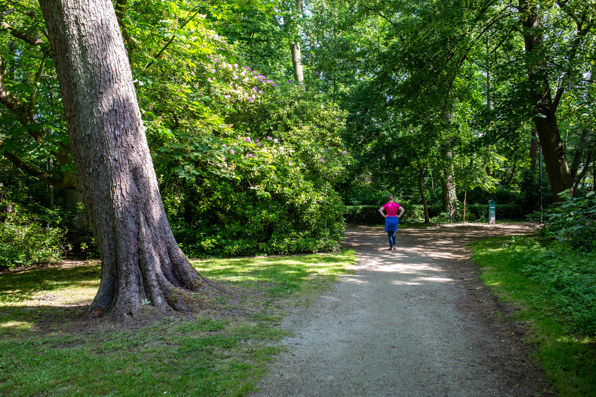 Blauwendael - Waasmunster