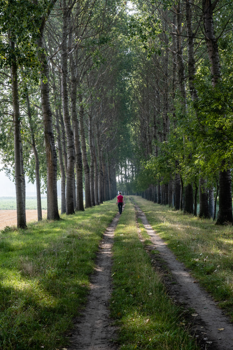 Groenendijk - Sint-Gillis-Waas