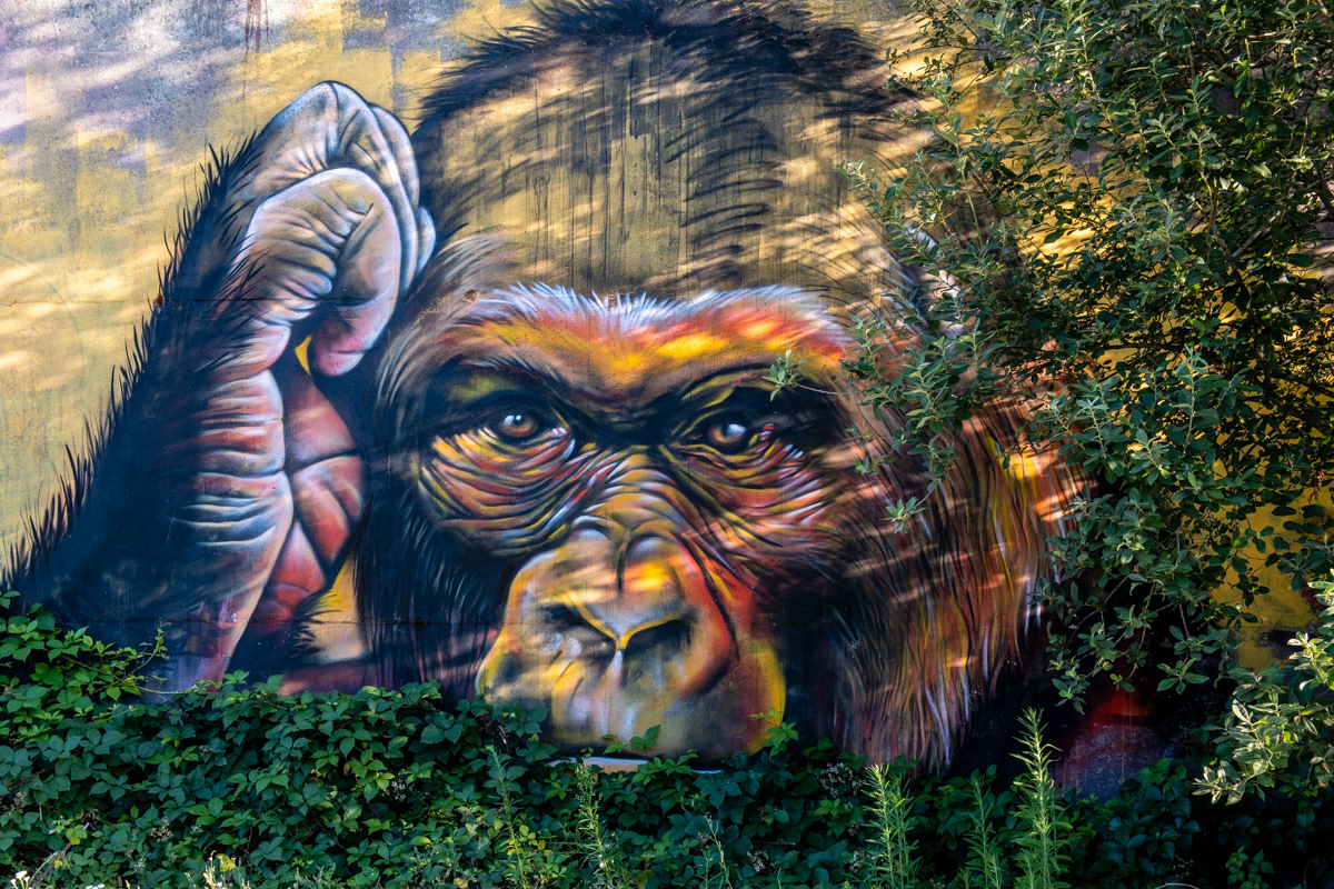 Stationswegel - Sint Niklaas