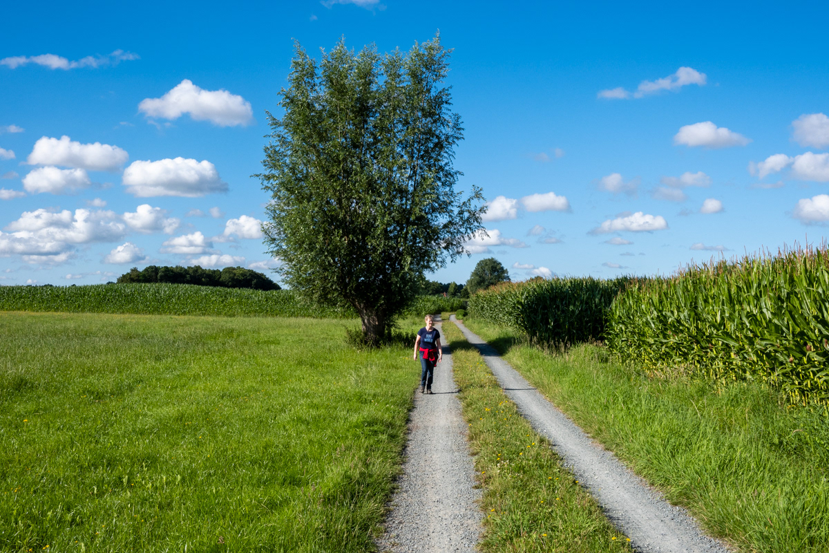 Op weg naar Nieuwkerken-Waas