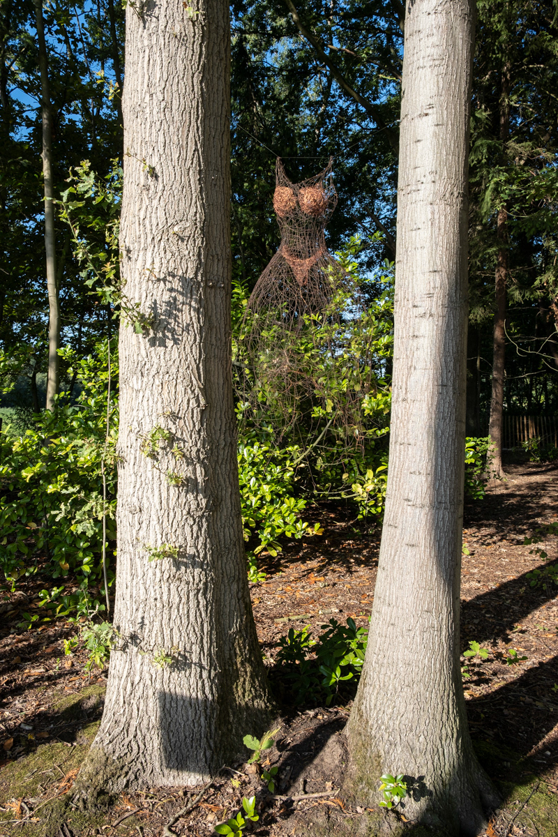 Tussen Sinaai en Lokeren