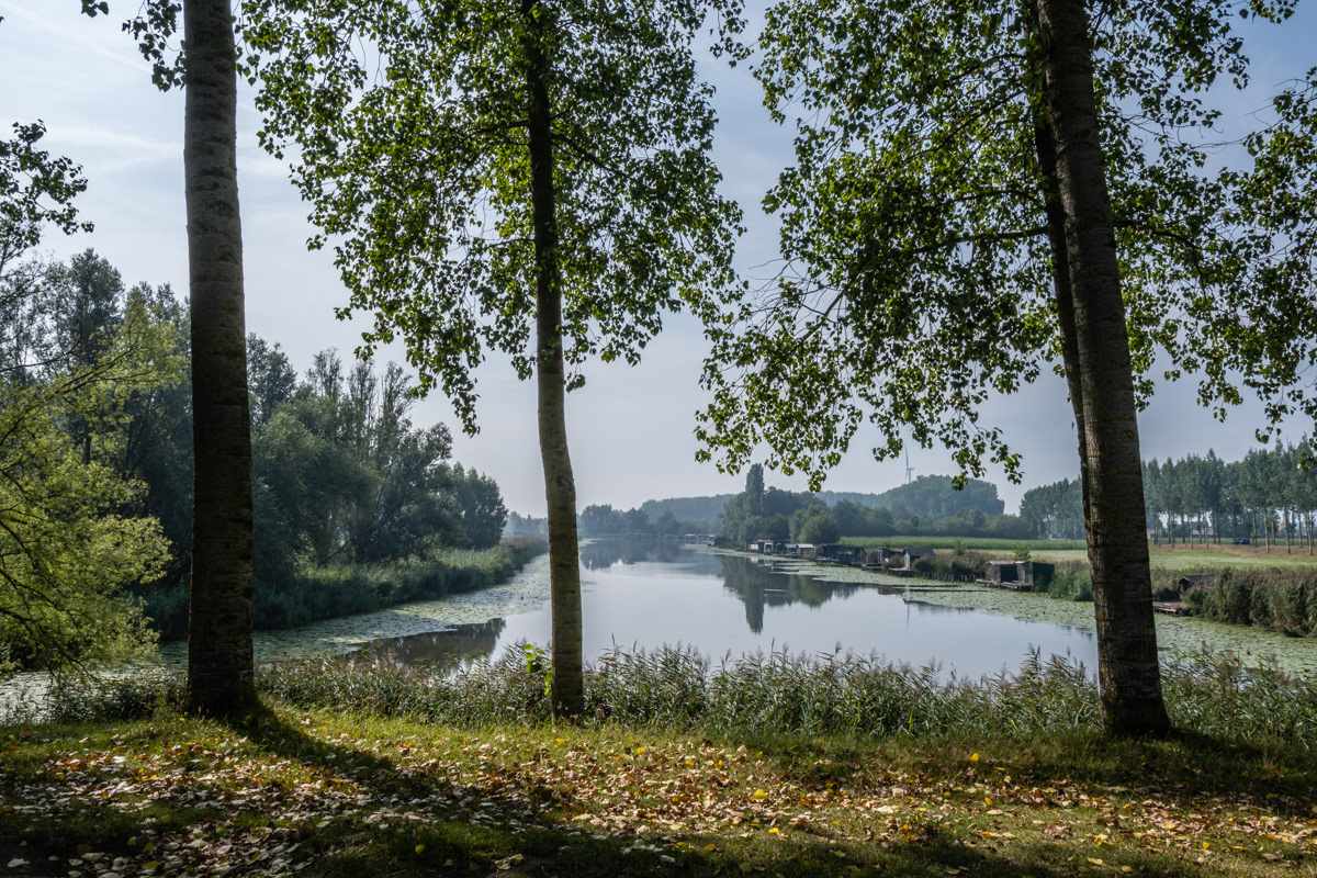 Grote Saleghemgeul - Sint-Gillis-Waas