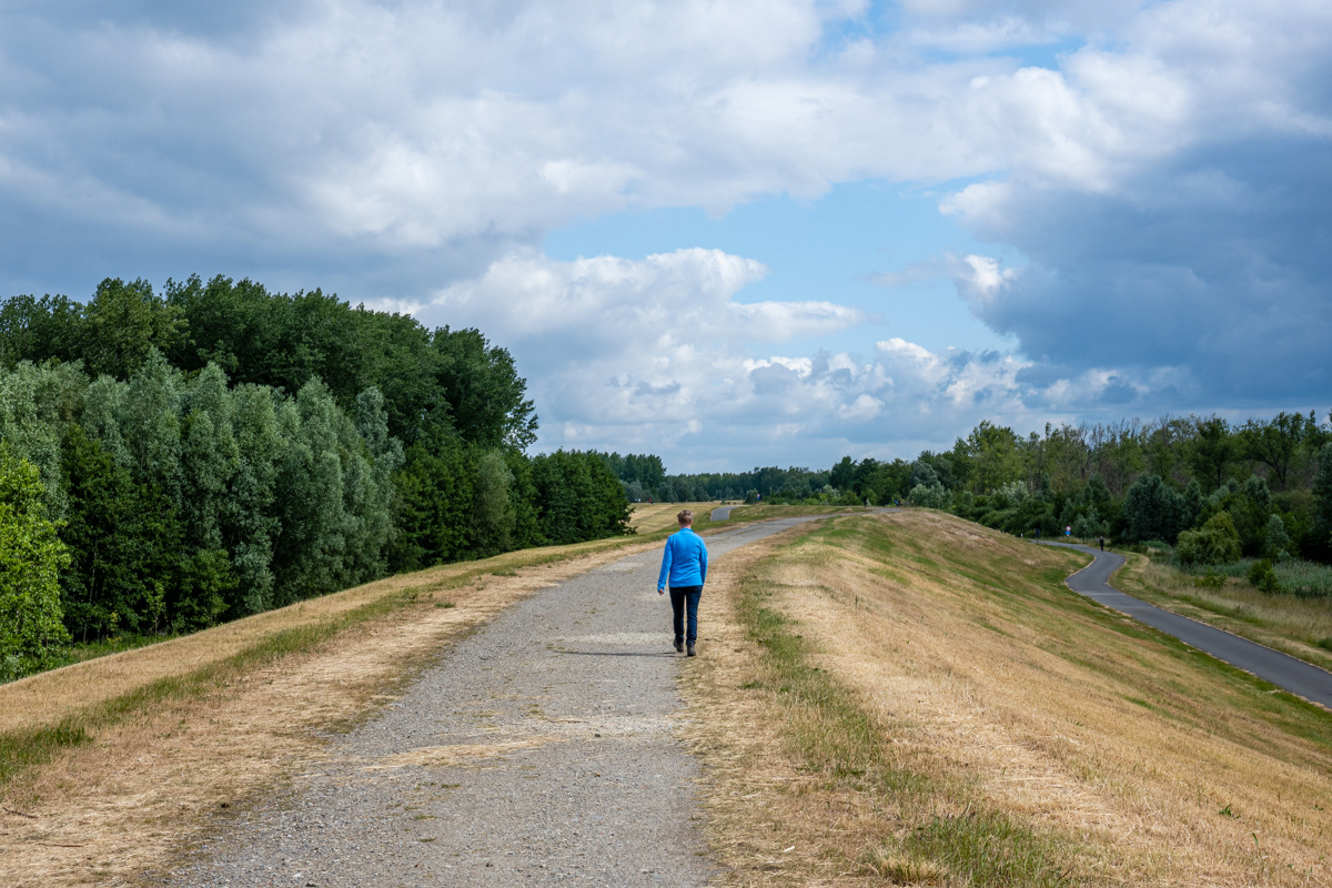 Tussen Rupelmonde en Bazel