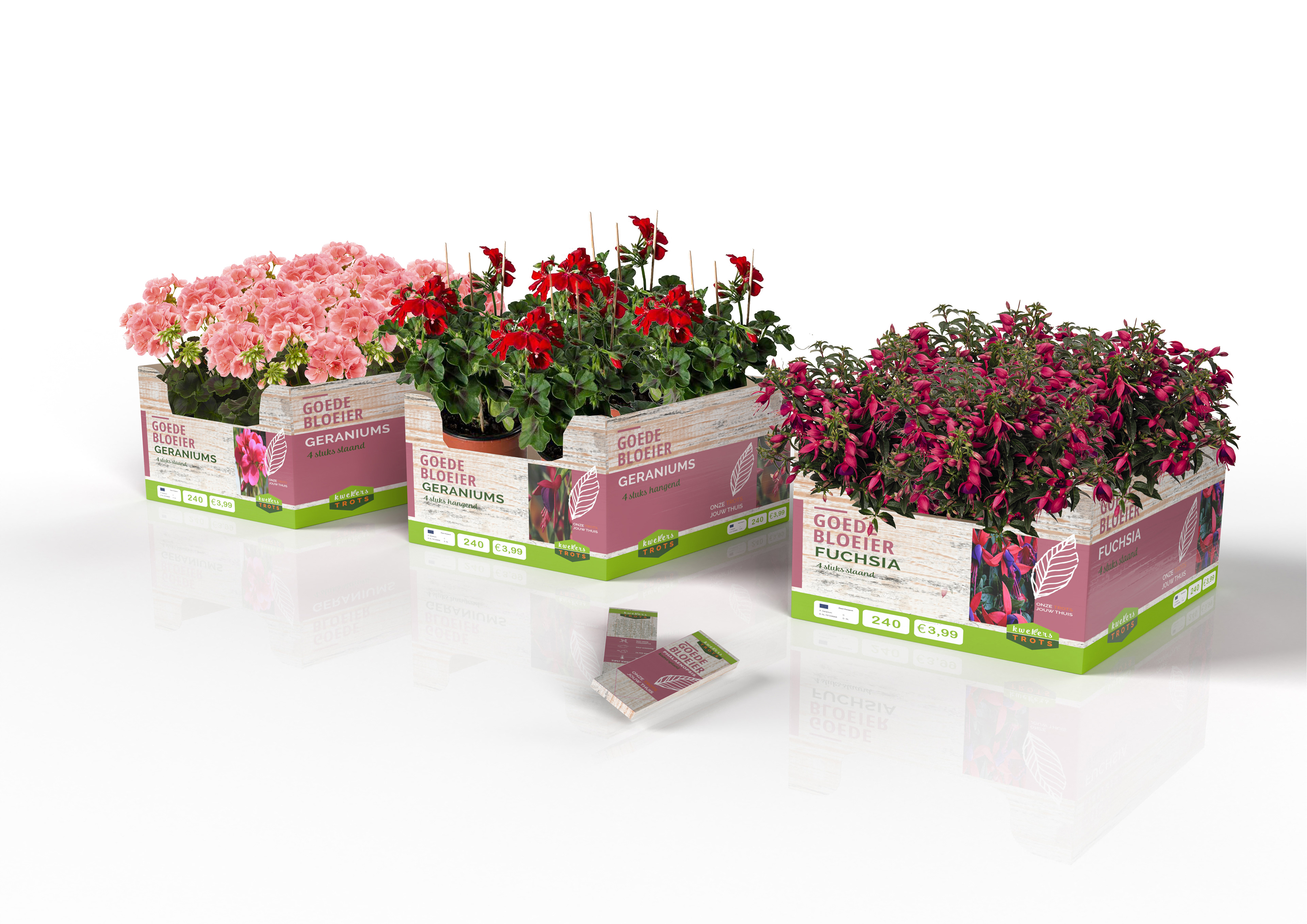 Kwekers Trots Aldi Plant Concept 