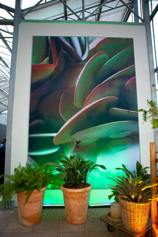 Royal Lemkes Bleiswijk Showroom & Kantoor Ontwerp & Styling 