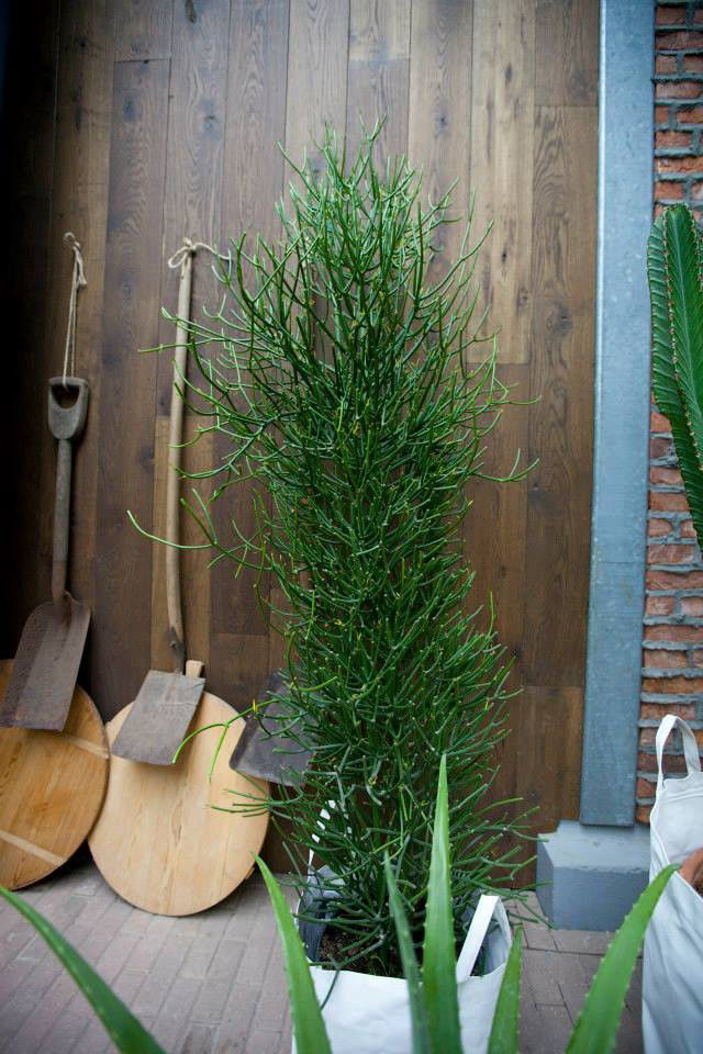 Royal Lemkes Bleiswijk Showroom & Kantoor Ontwerp & Styling 