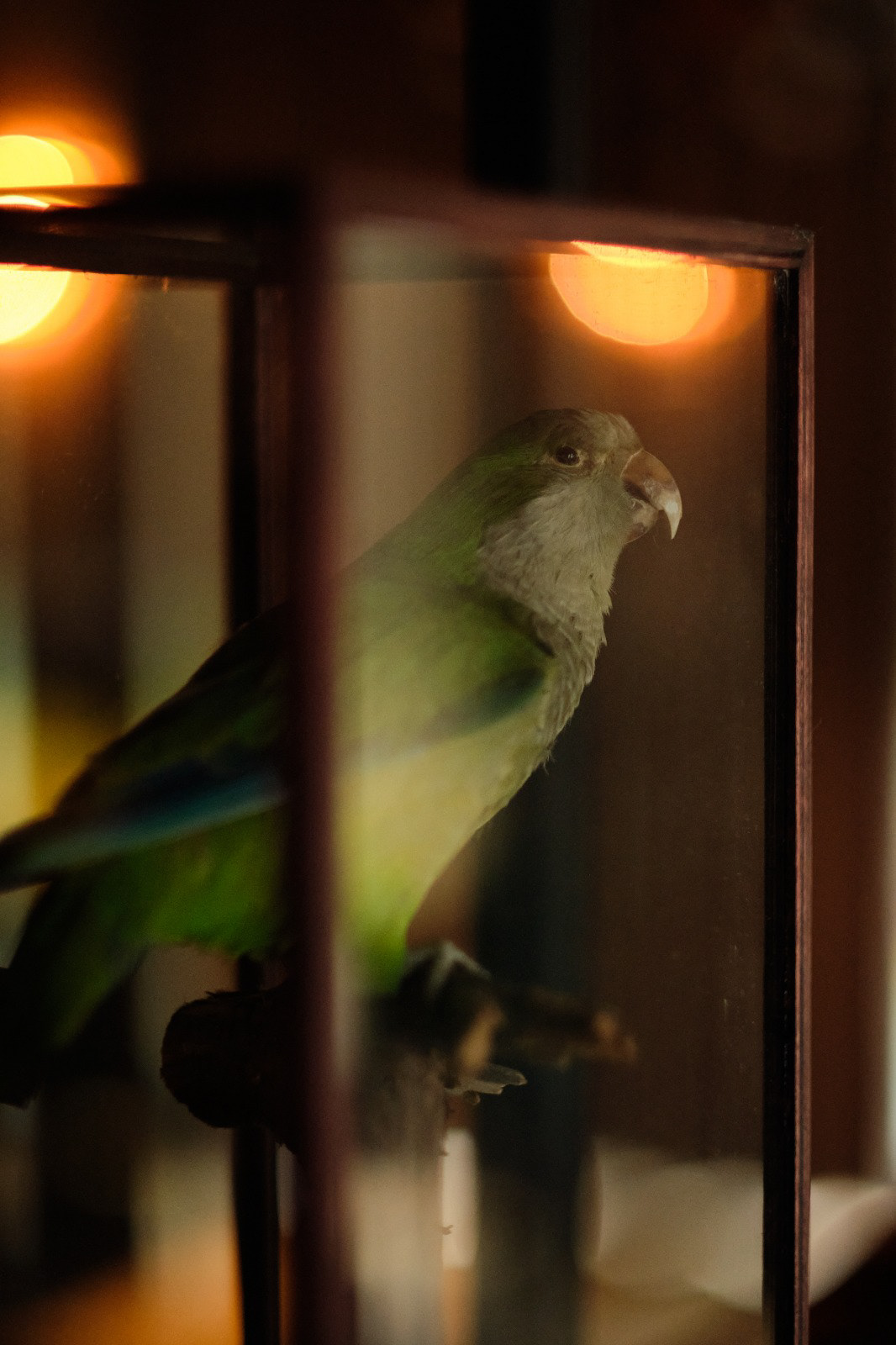 Styling, Materiaal & Kleur ontwerp - Van Sprang Ermelo