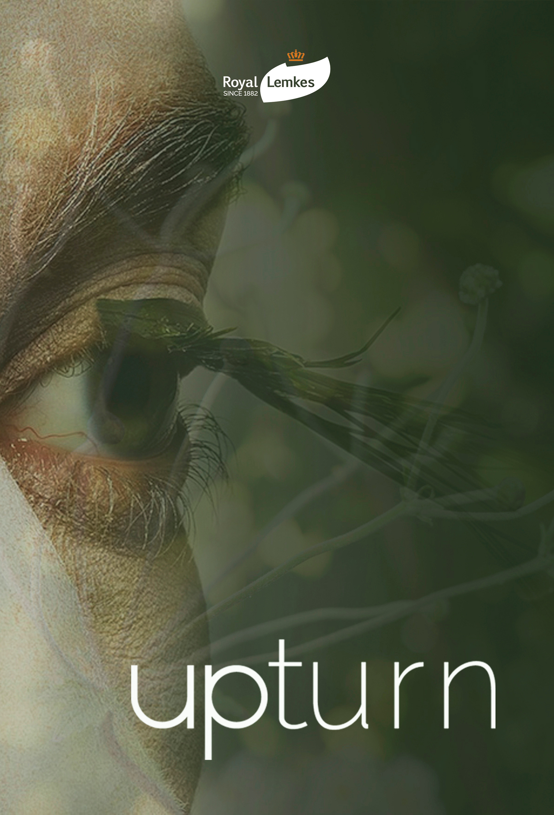 Trends Royal Lemkes 2017- 2018