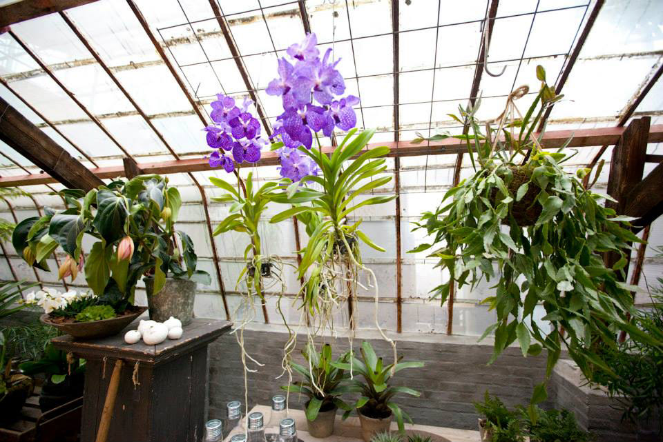 Royal Lemkes Bleiswijk Showroom & Kantoor Ontwerp & Styling 