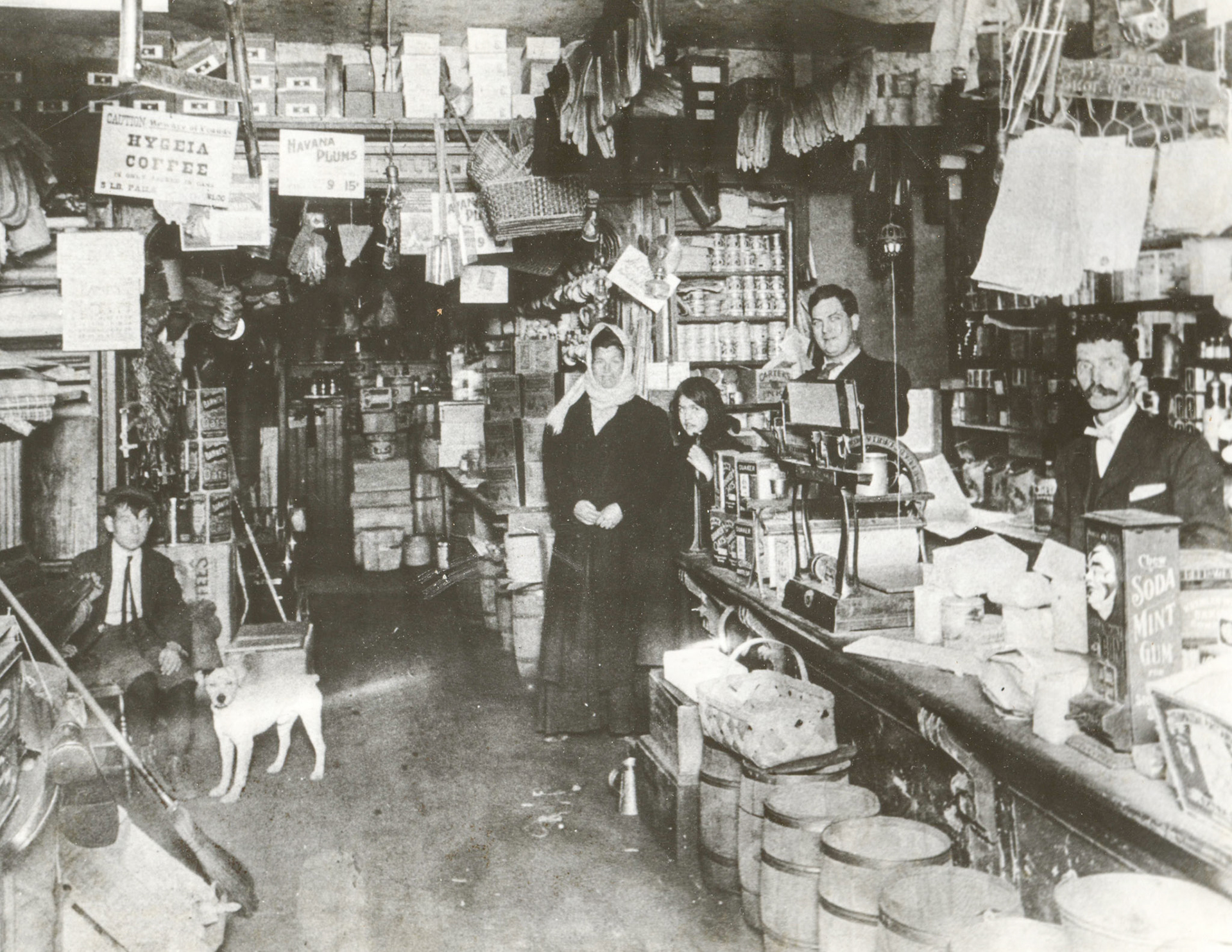 Inside Wolfe's Store. Young Hooper Wolfe on left with his dog.