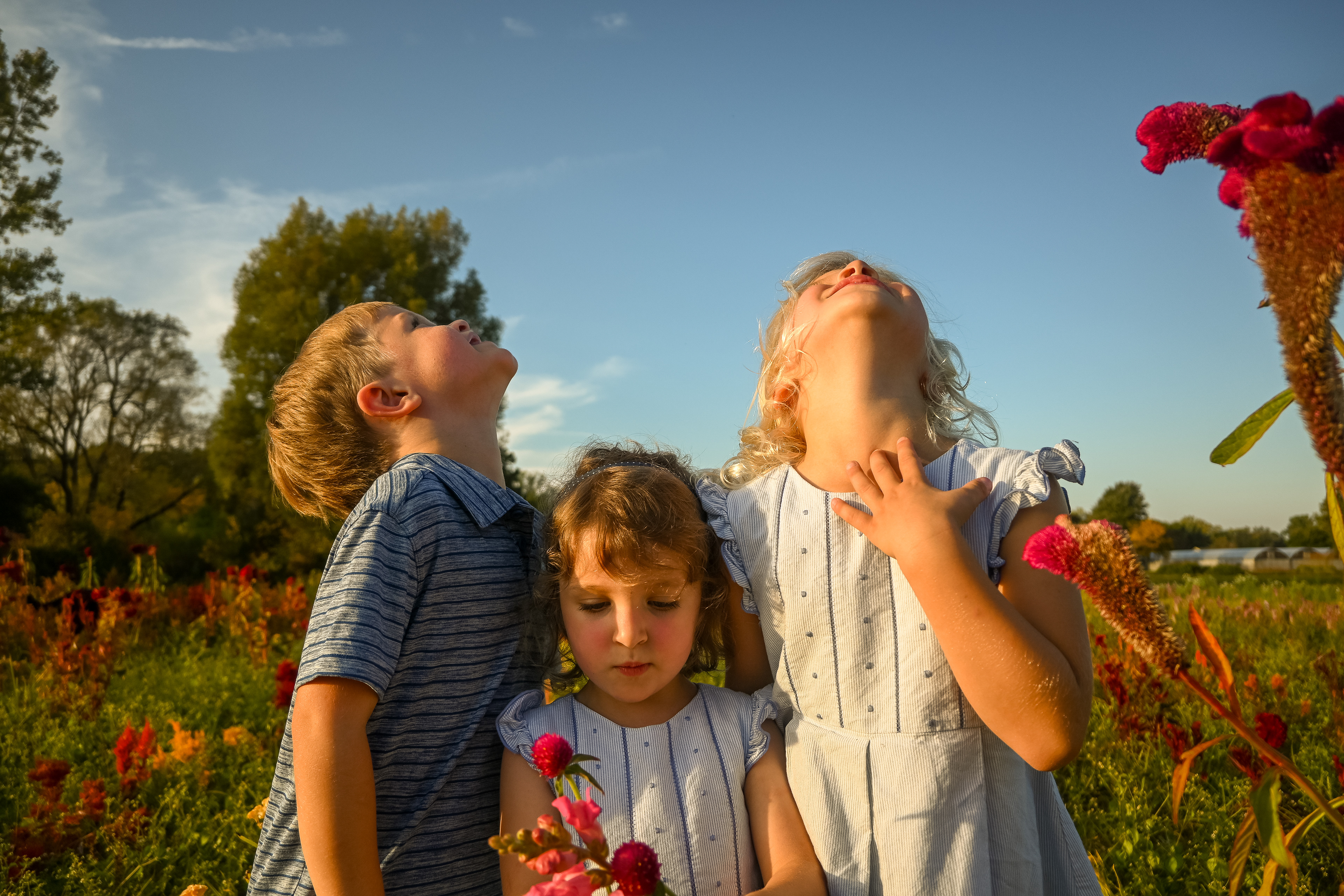 Three little children are dressed in matching blue summer outfits. The siblings are looking up at the blue sky in a flower field during an outdoor family portrait photo session. The kids are holding flowers and hugging each other during sweet family photos in nature, during a family portrait session with photographer Lauren Nikiel Studio, a North Carolina (NC) photographer.