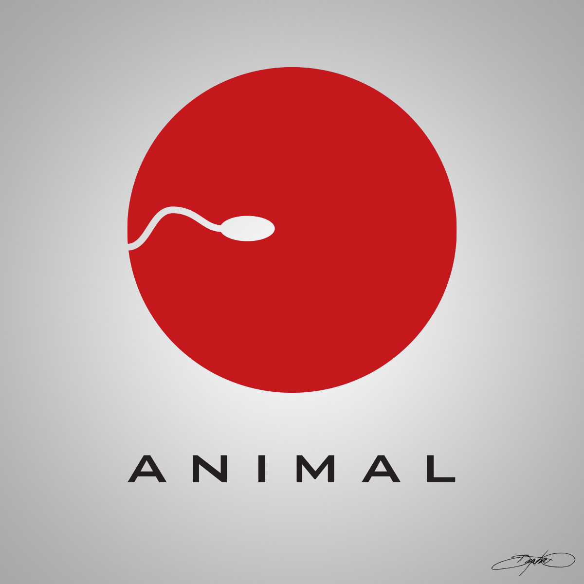 Video Production Company Branding