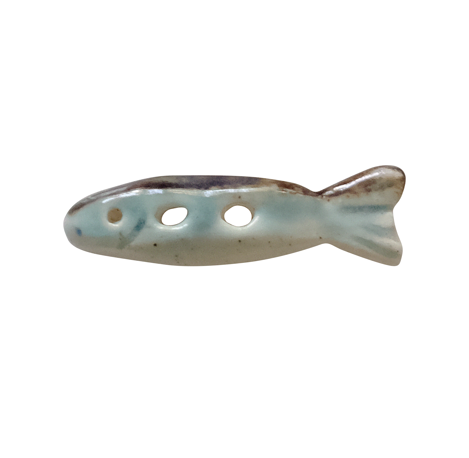 Sardine