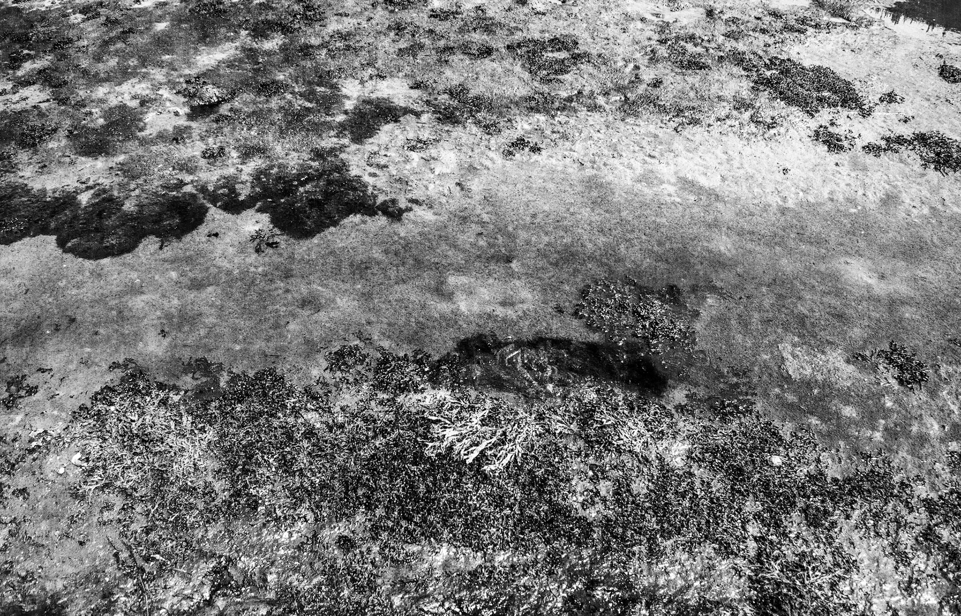 Mars Texture - Norfolk, UK - 2018