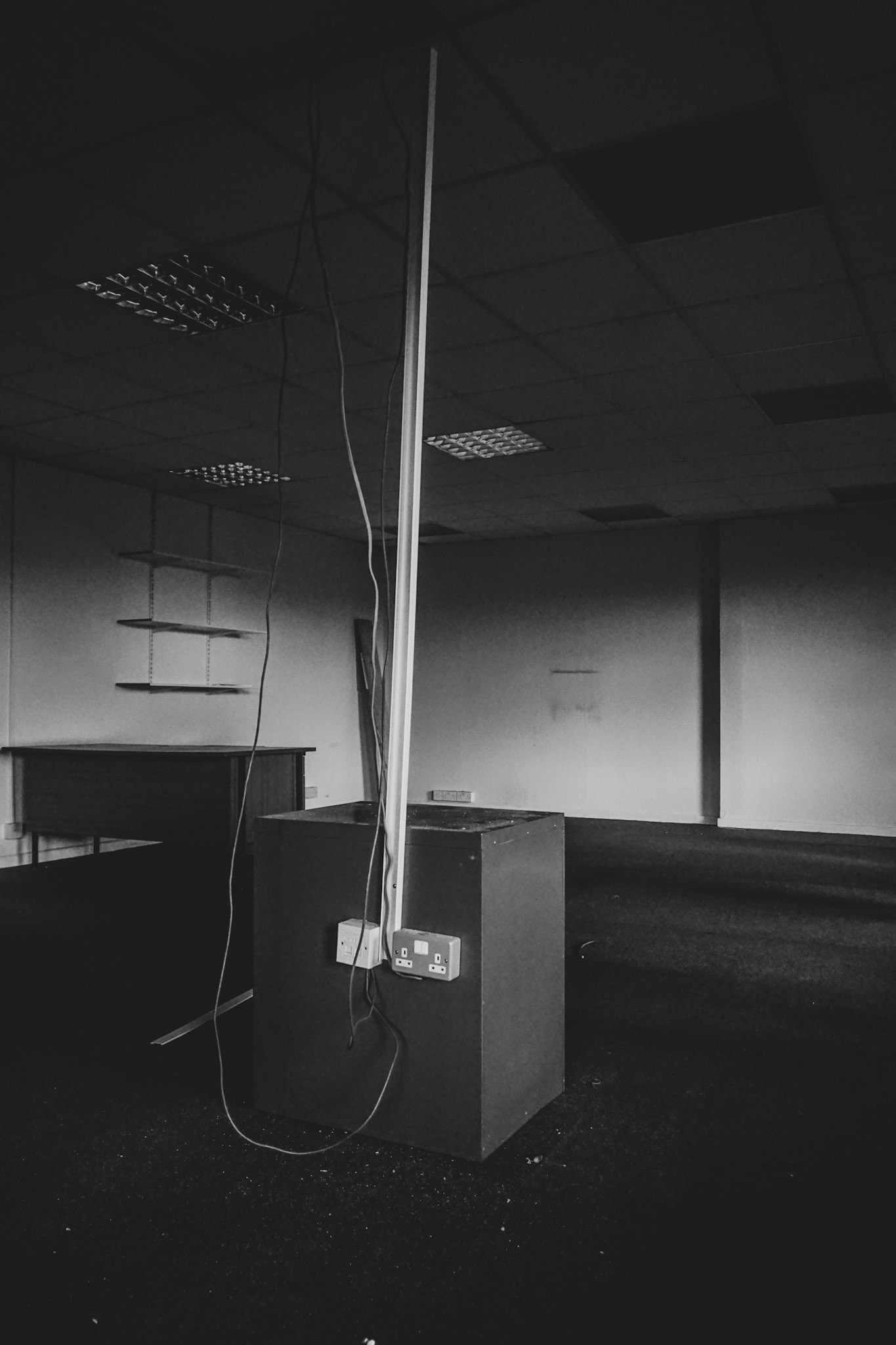 What? - Tring, UK - 2021