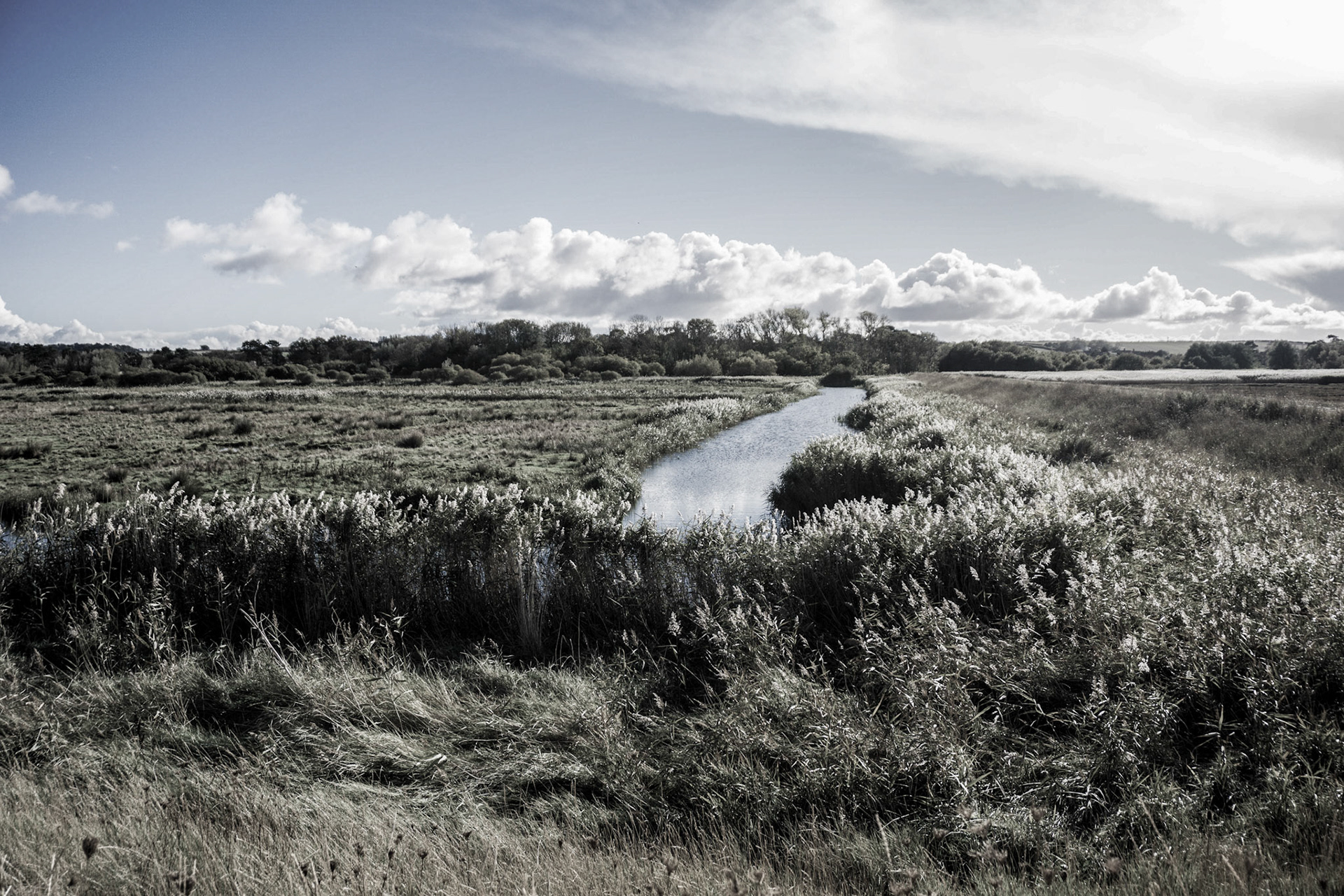 Green Norfolk - Norfolk, UK - 2018