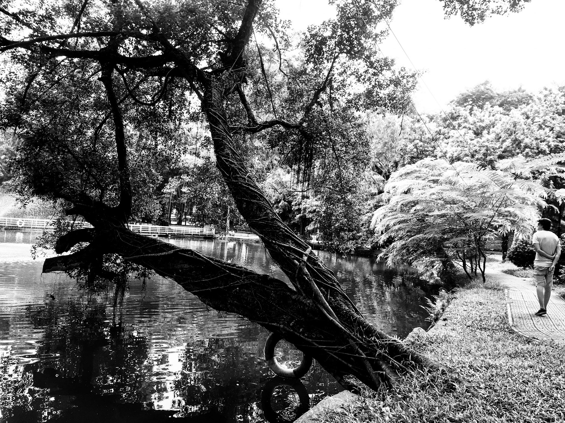 Afternoon Stroll - Hanoi, Vietnam - 2019