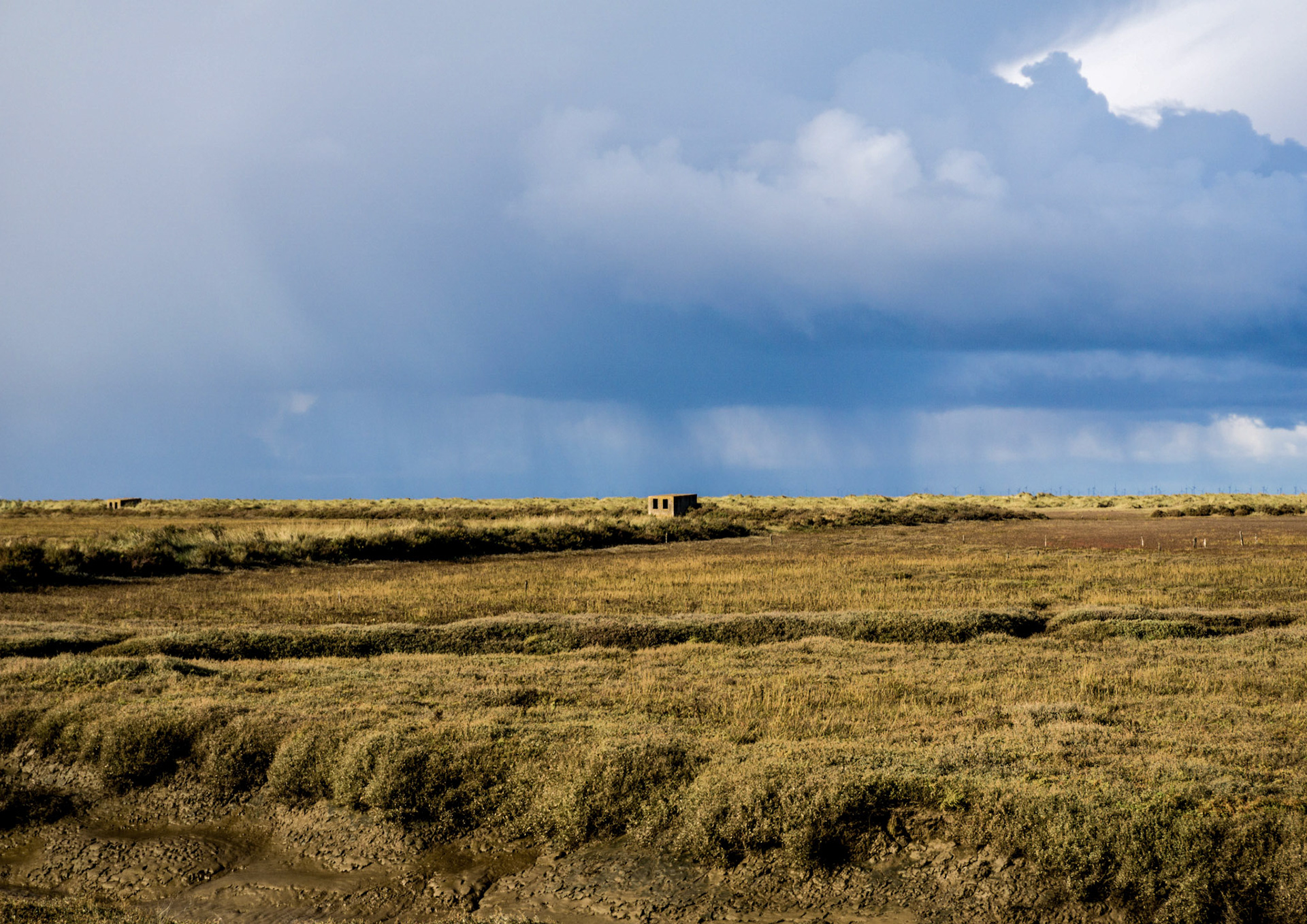 Watching - Norfolk, UK - 2018