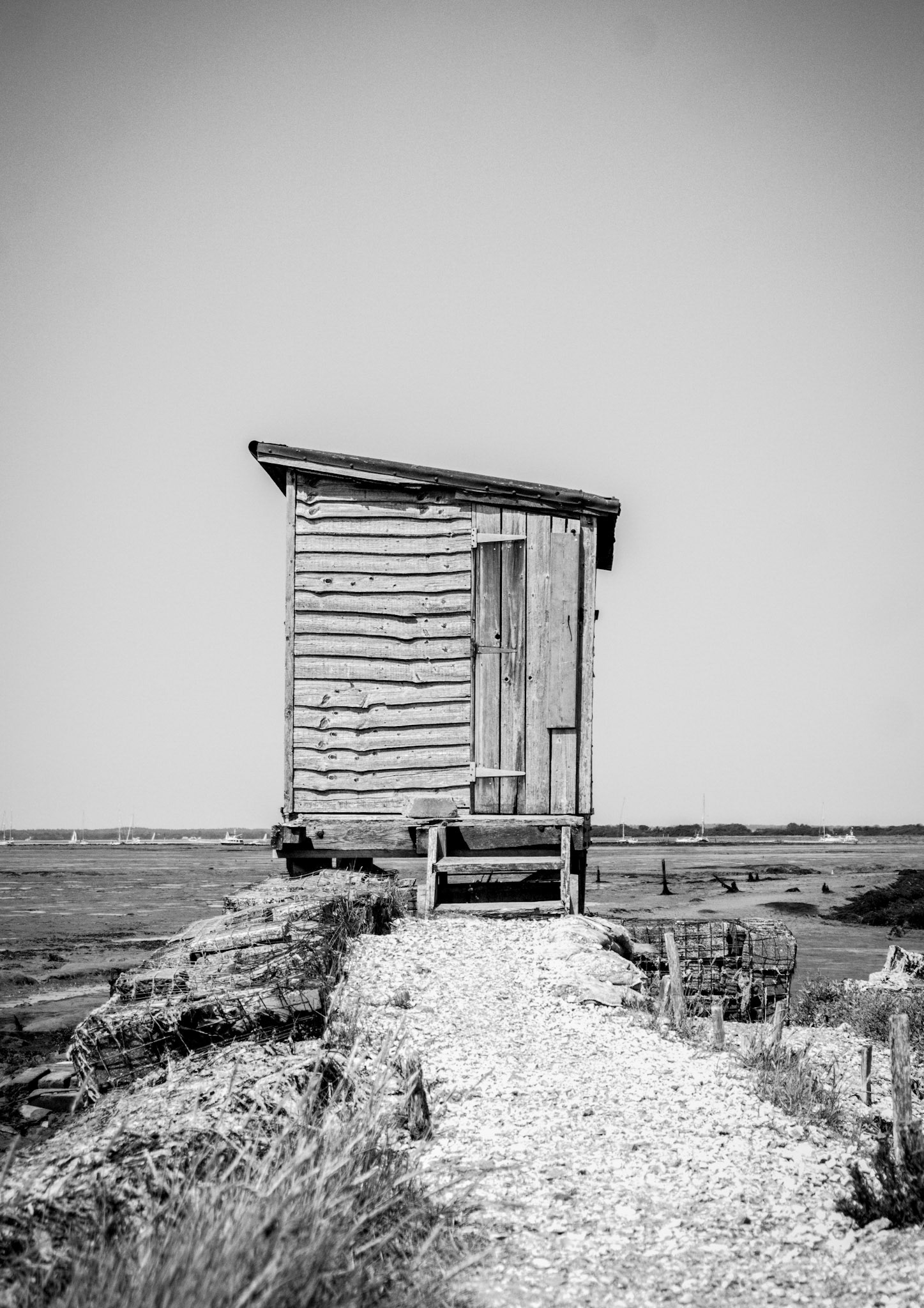 Bird Hut - Isle of Wight, UK - 2020