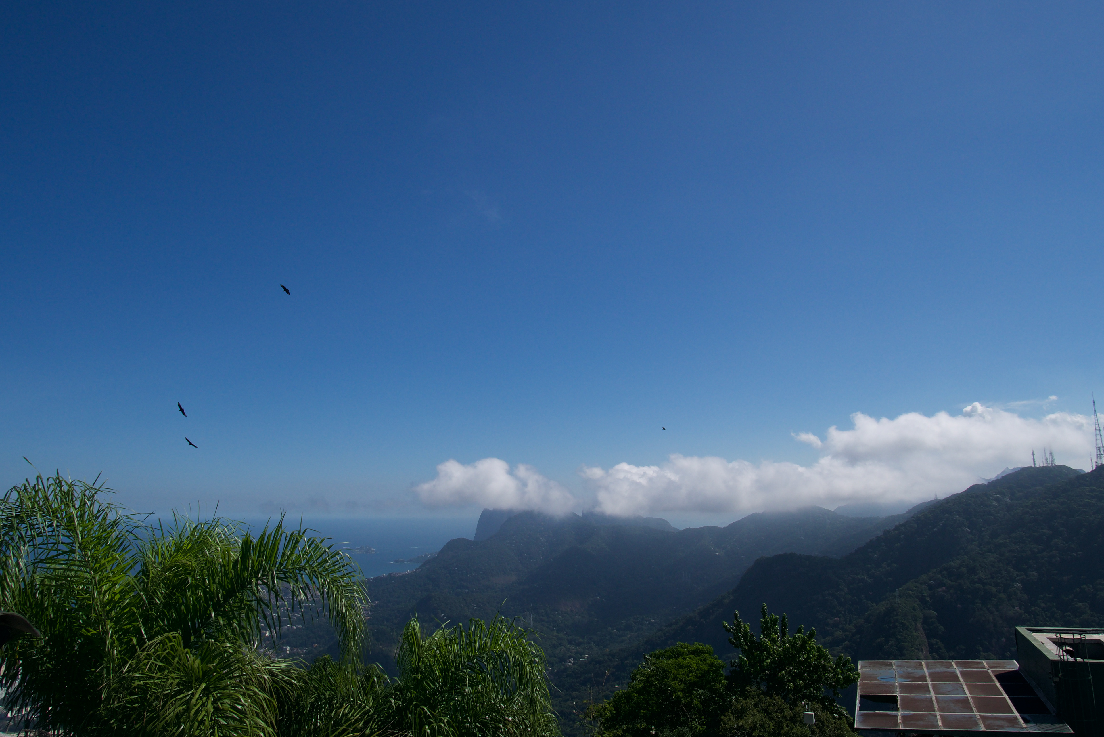 I can see blue skies.