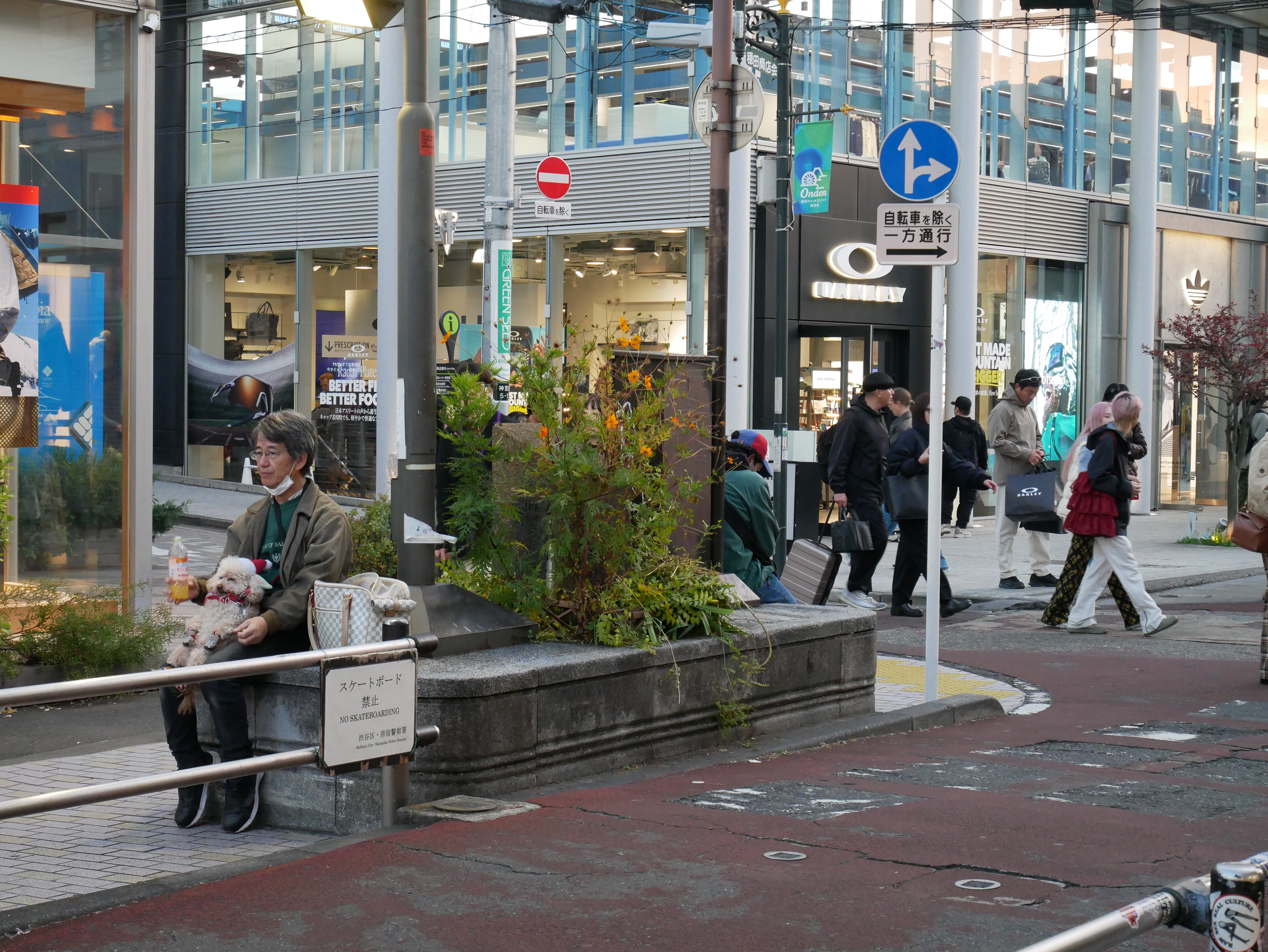 I can see a dog and it's owner.