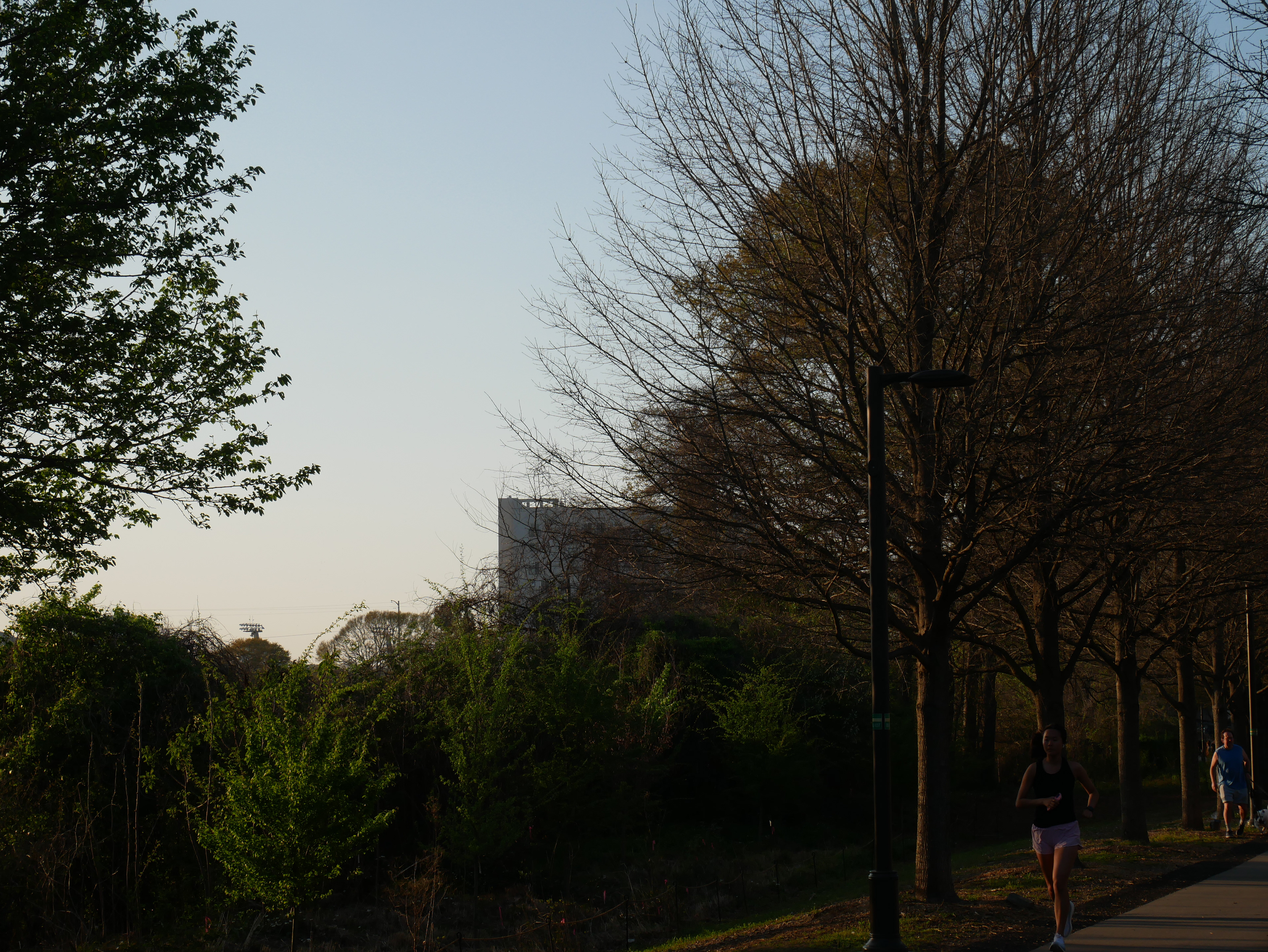 I can smell the pollen.