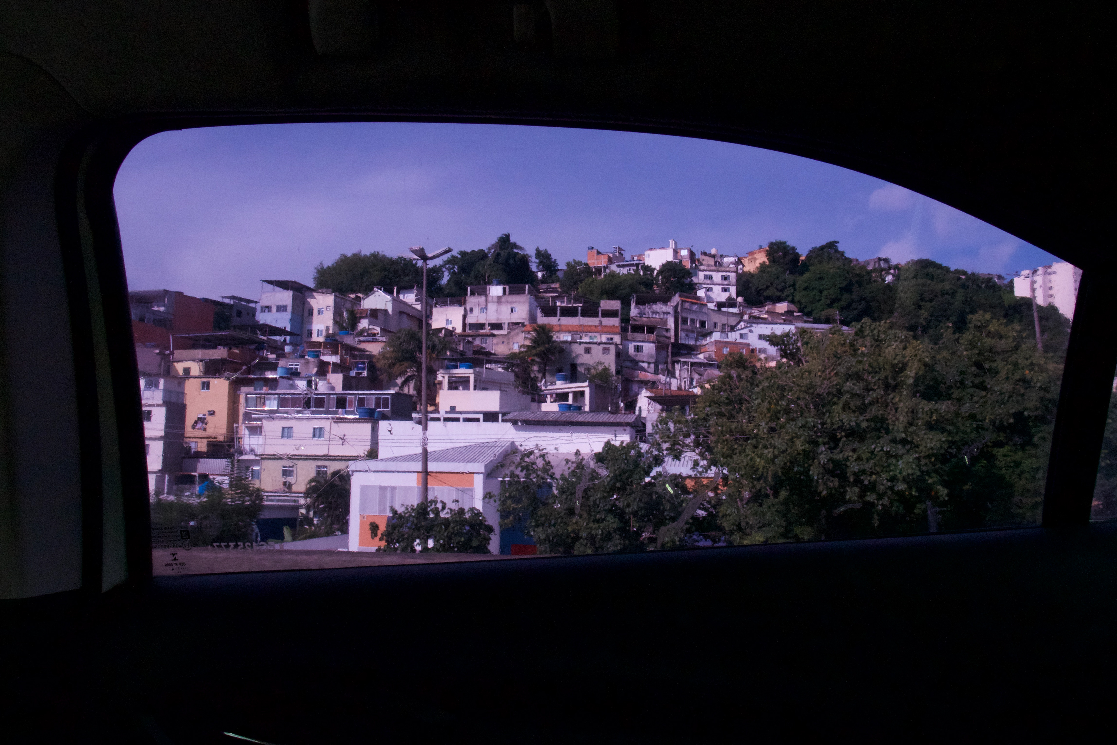 I can see more purple.