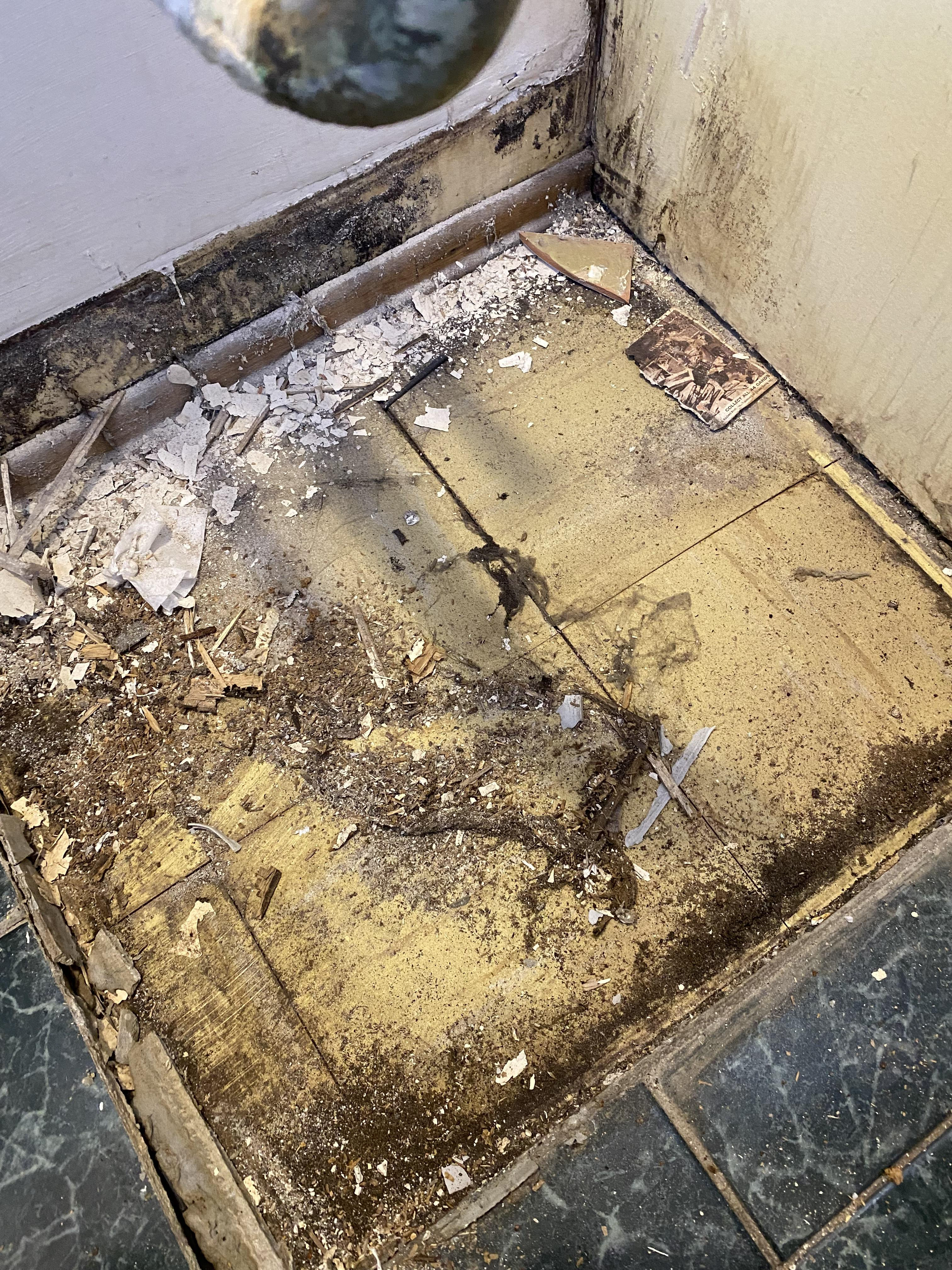 Vanity Removal