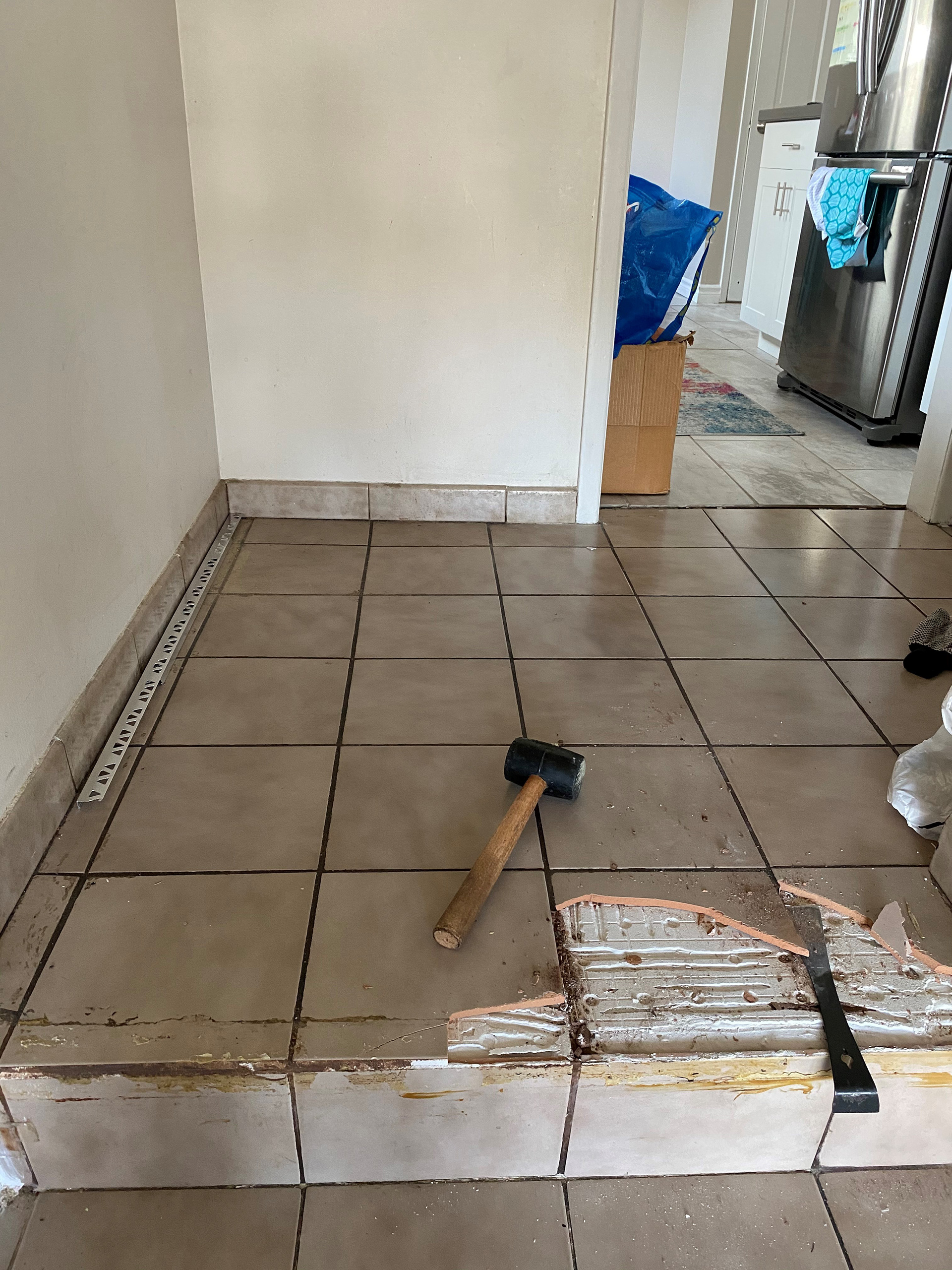 Tile Demolition