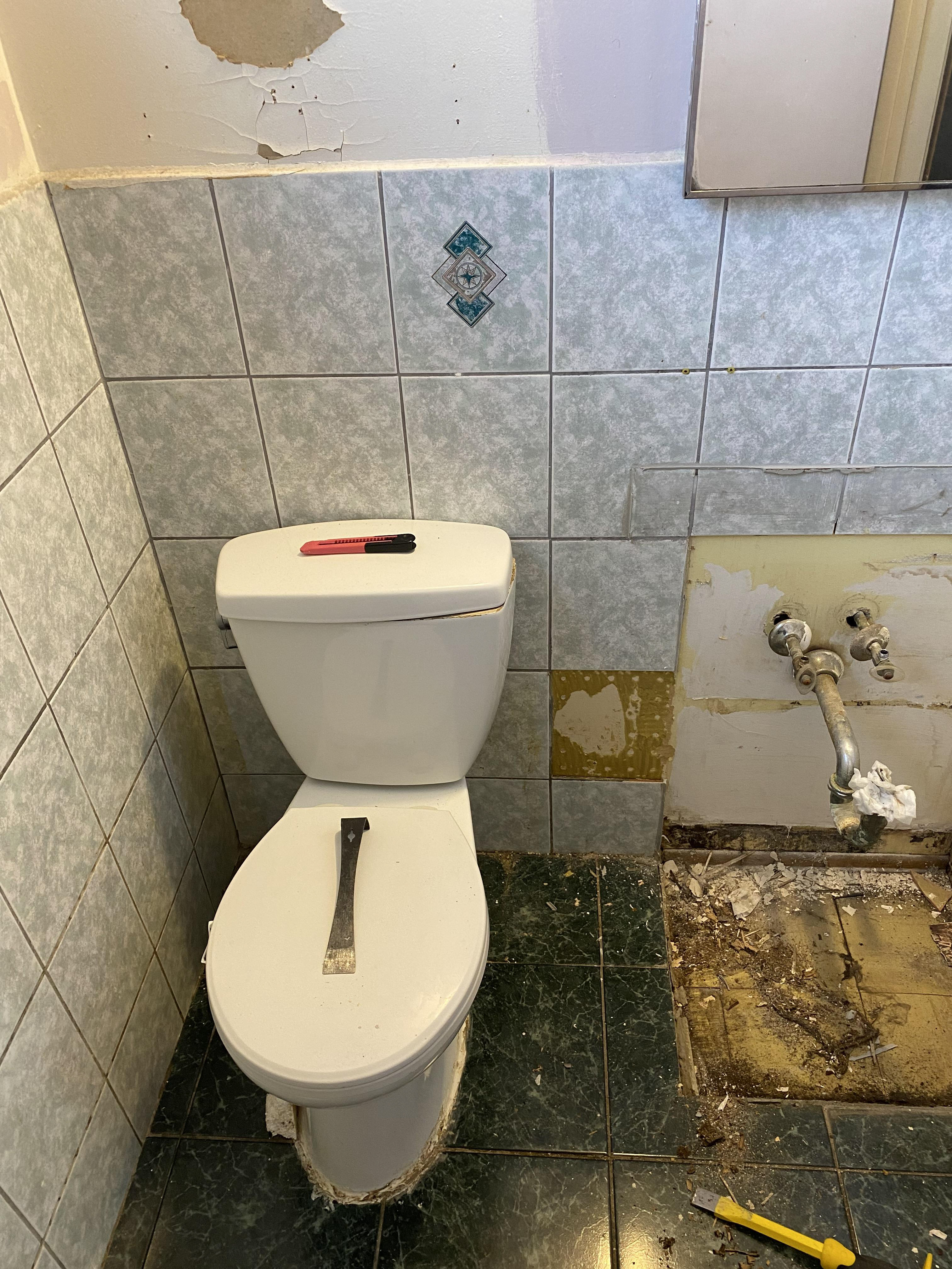 Vanity Removed