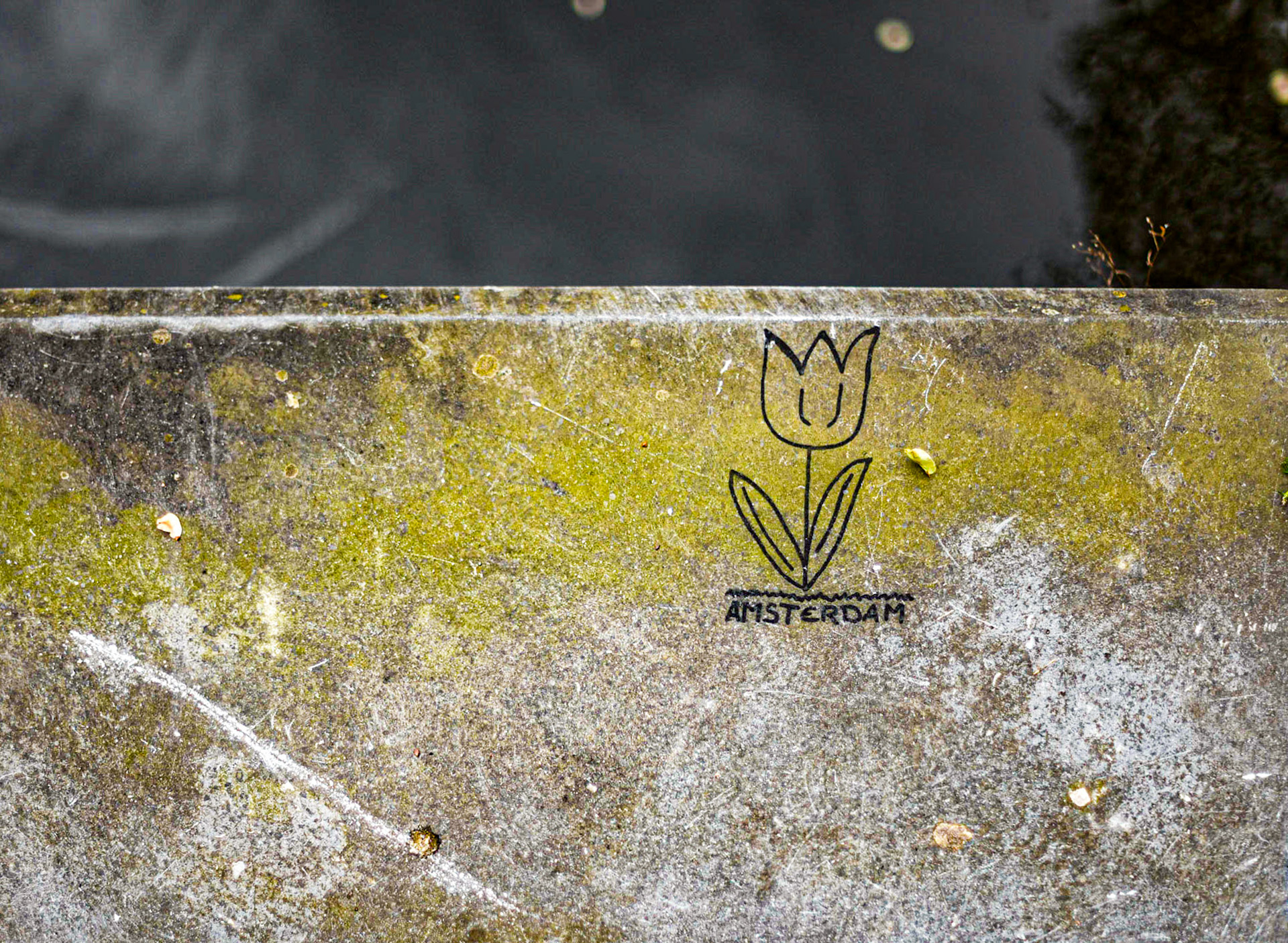 Canal Graffiti