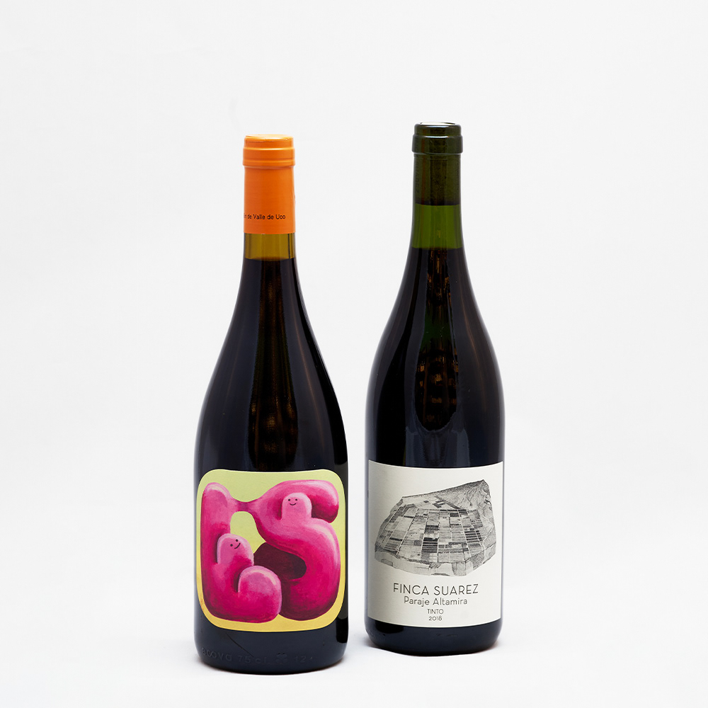 Pielihueso - Finca Suarez