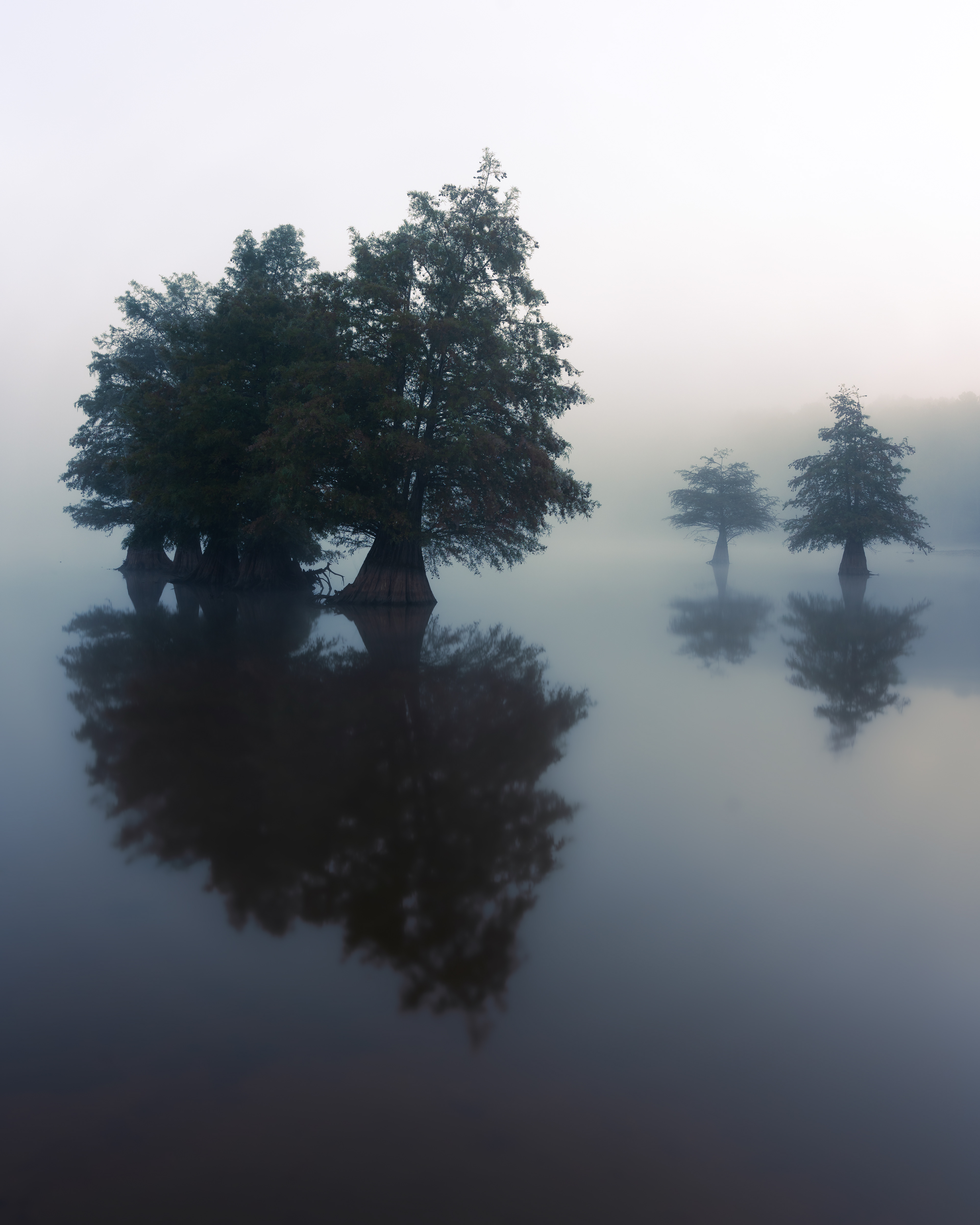 26 Cypress