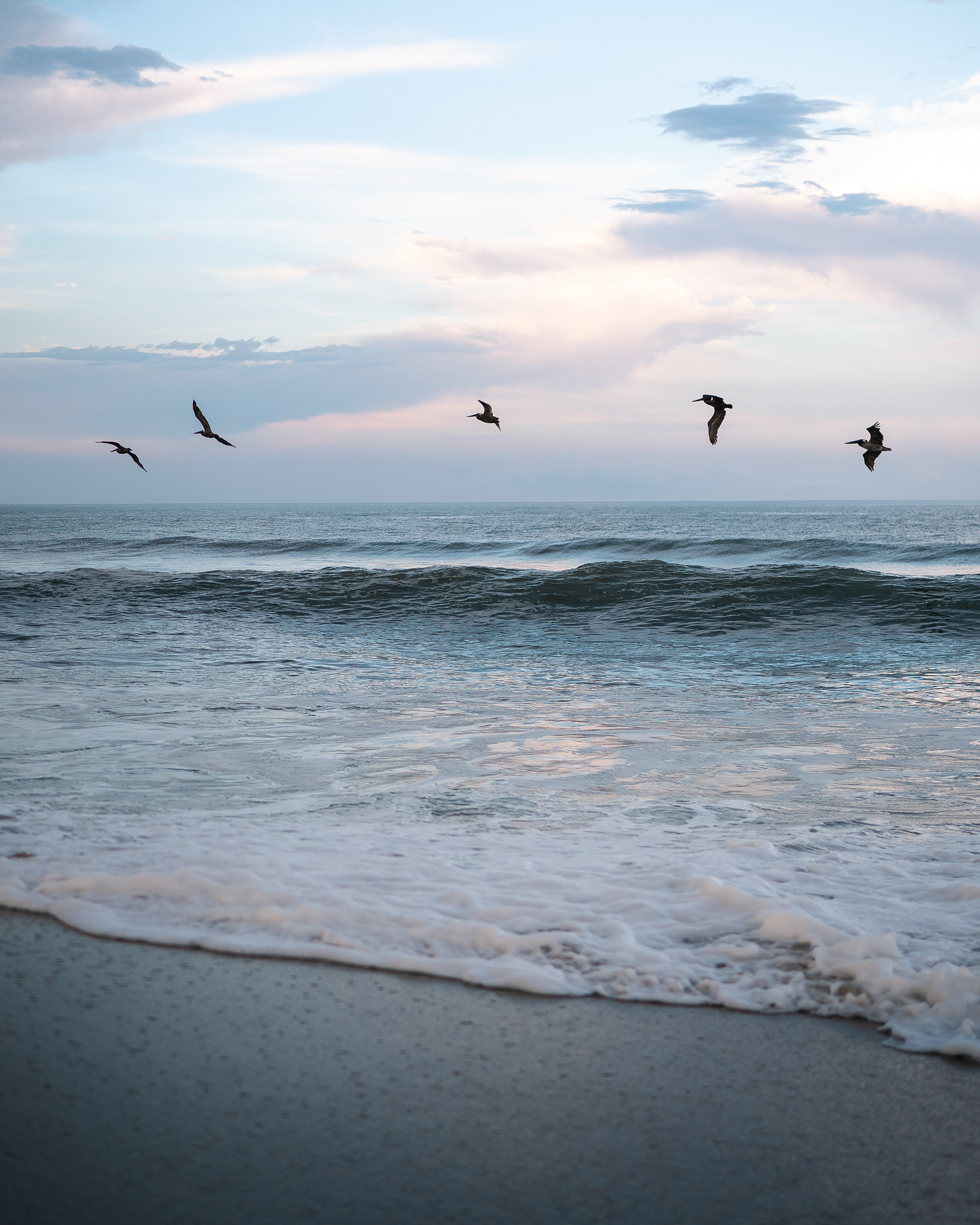 33 Pelicans