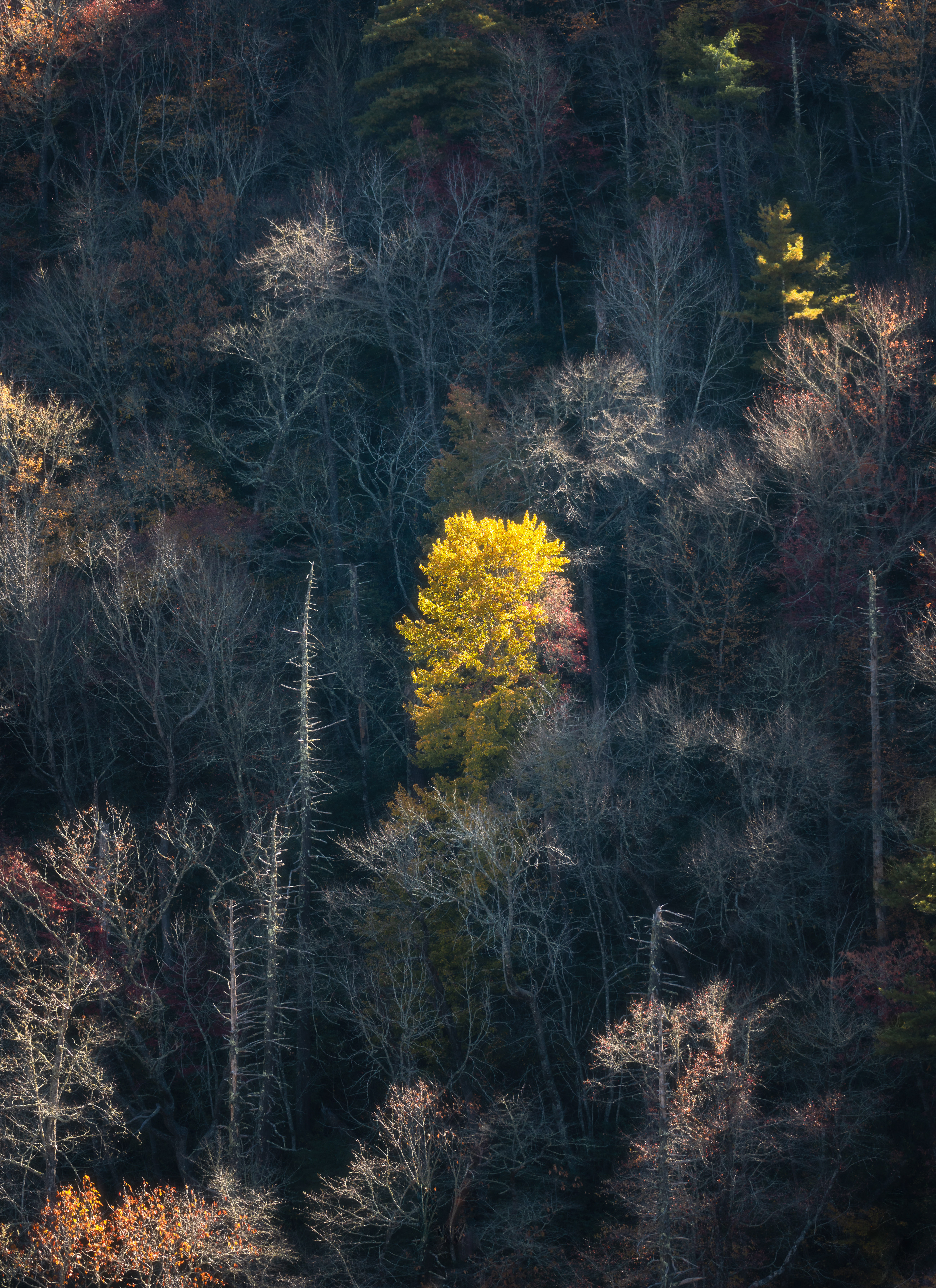 29 Last of Fall