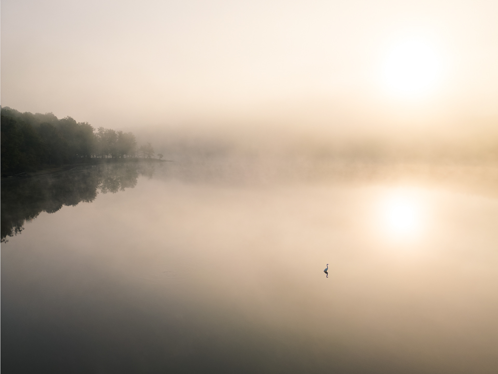 5 Falls Lake