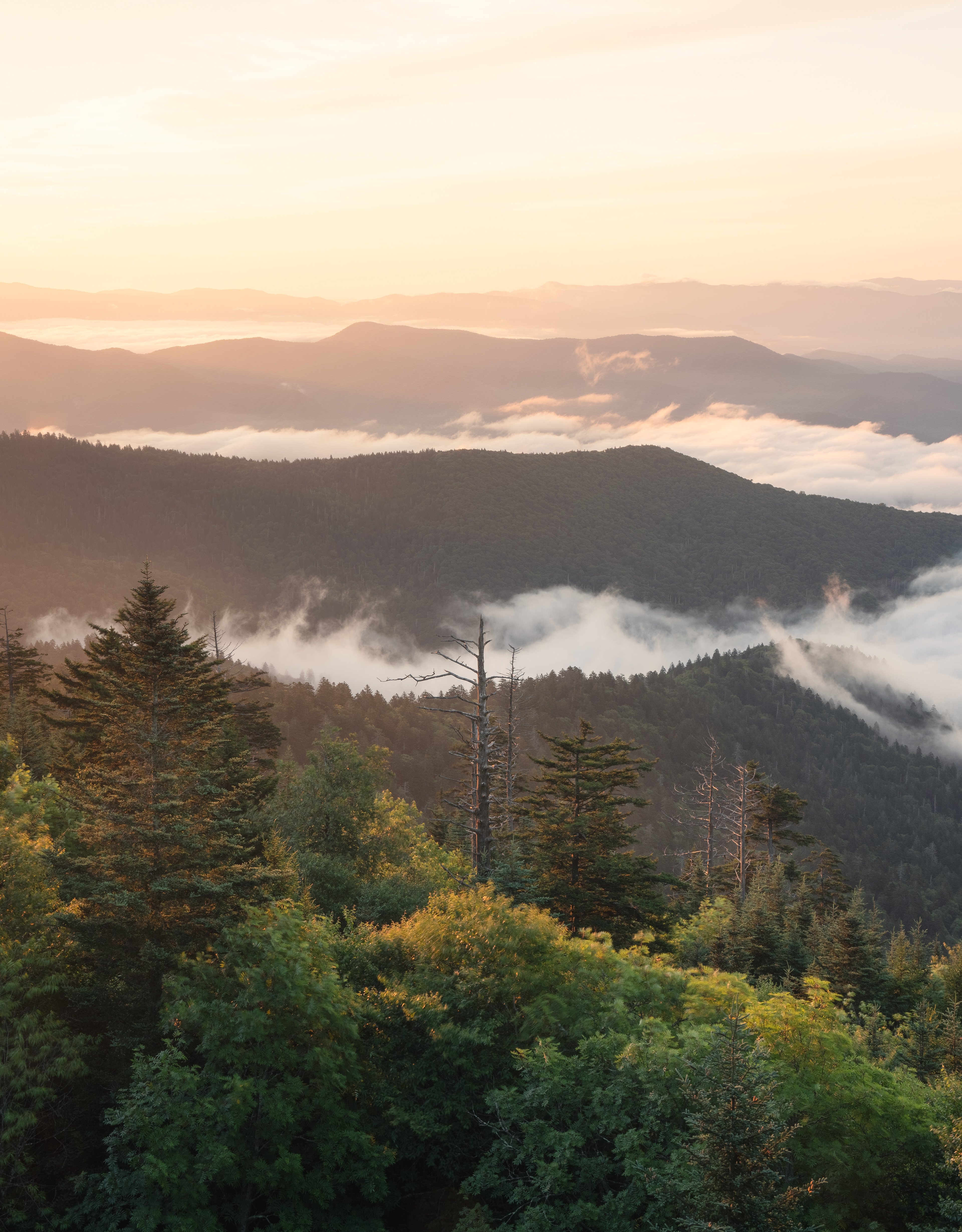 19 GSMNP