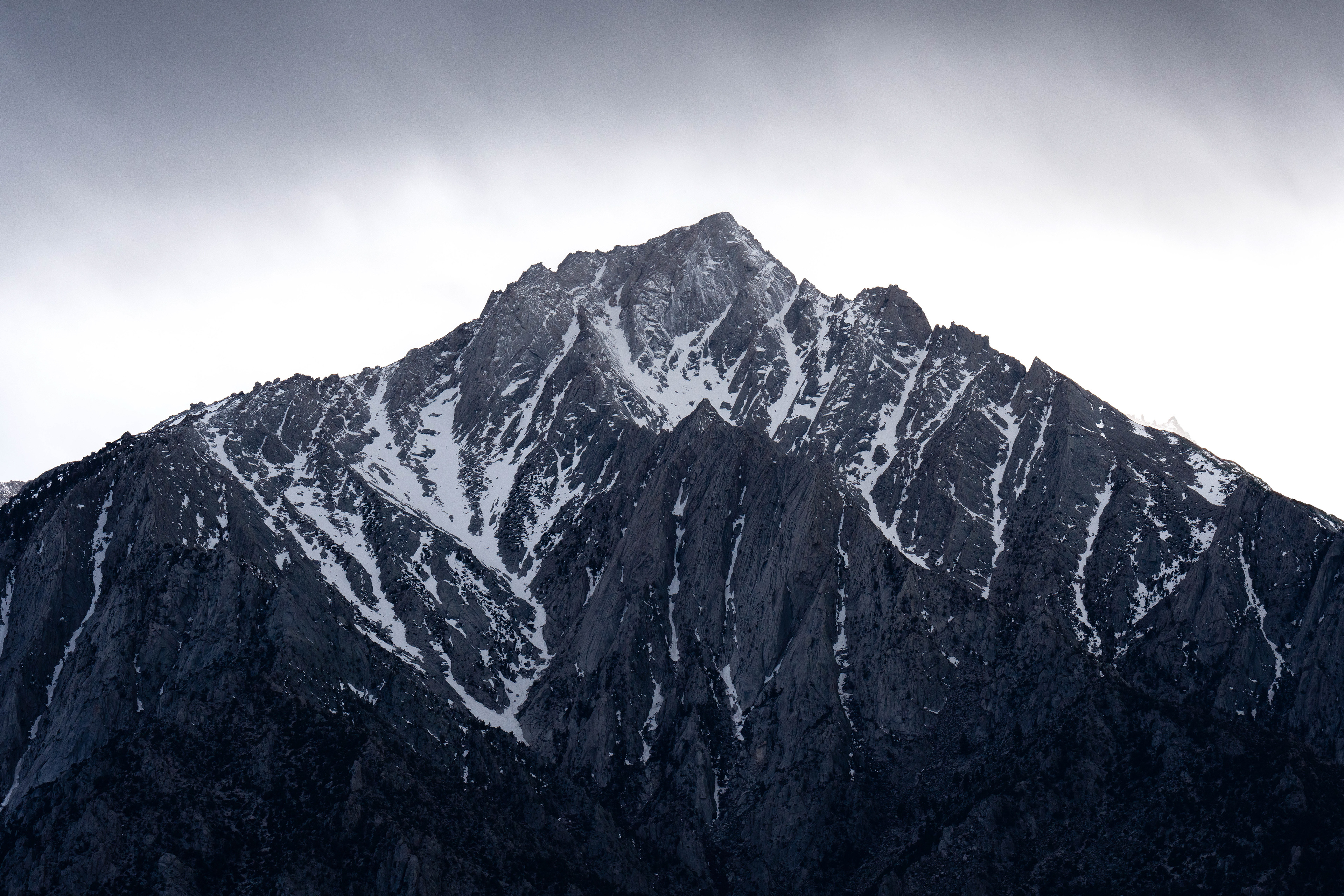 11 Lone Pine