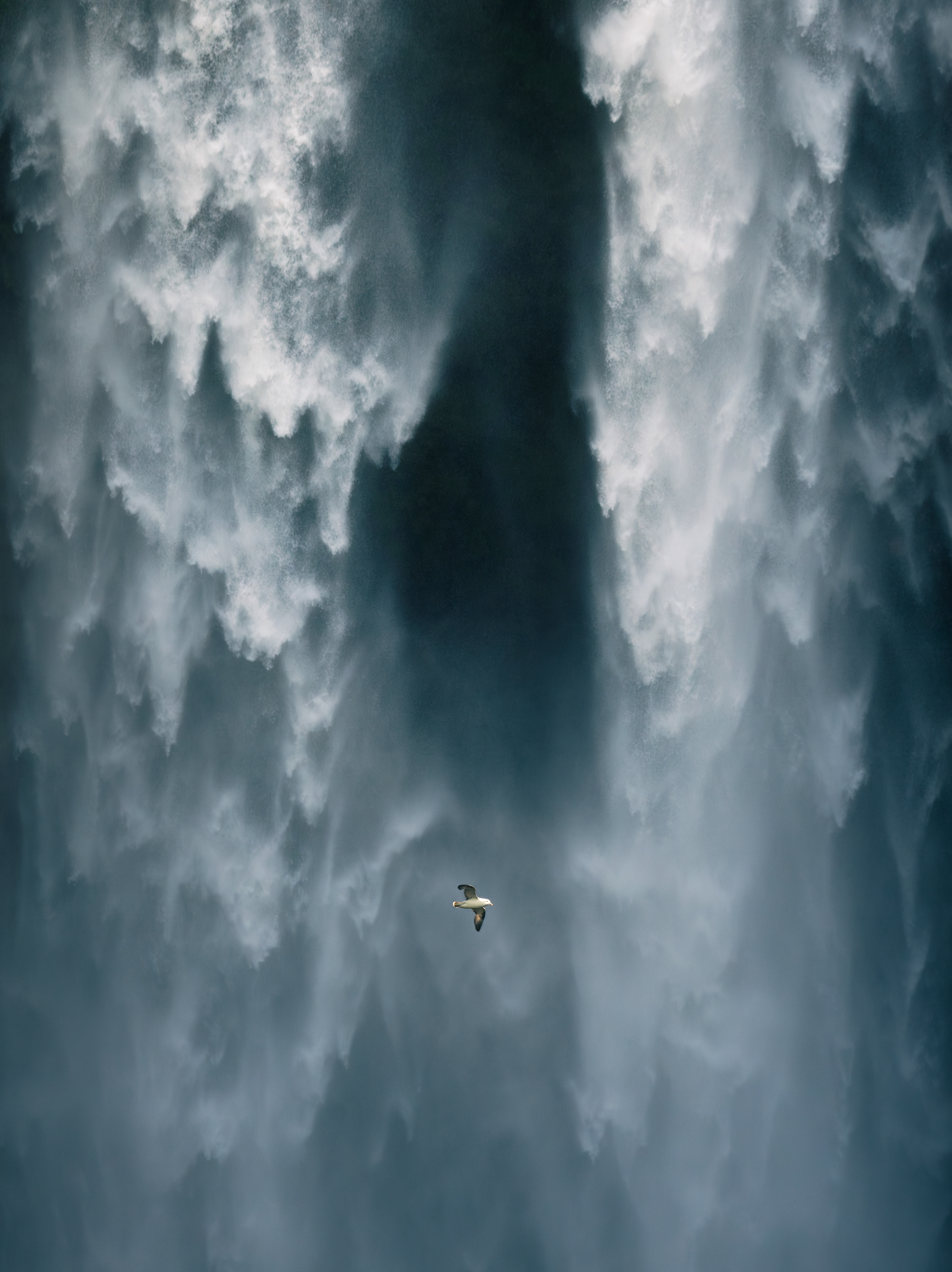 12 Seagull Skogafoss