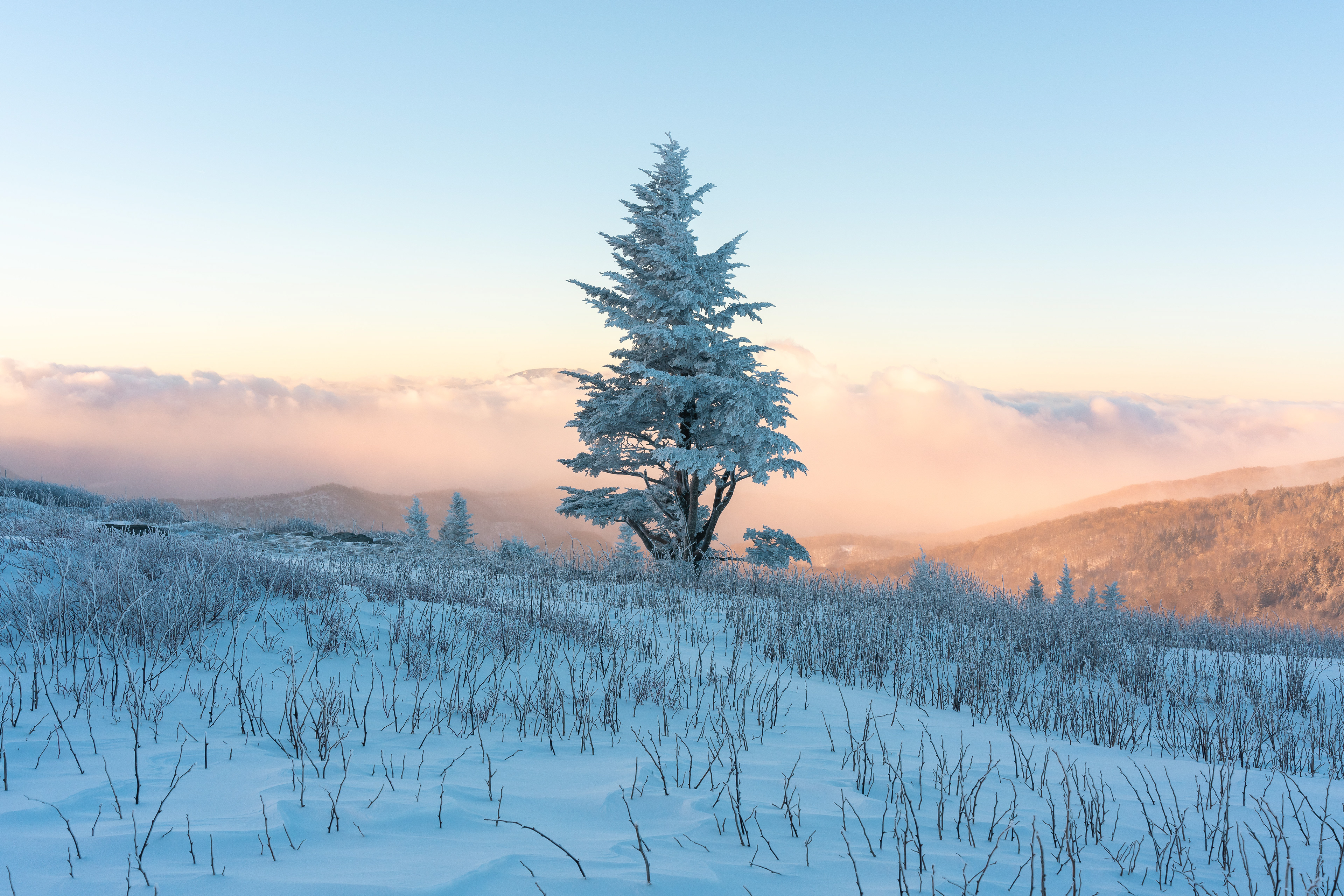 27 Cravens Gap