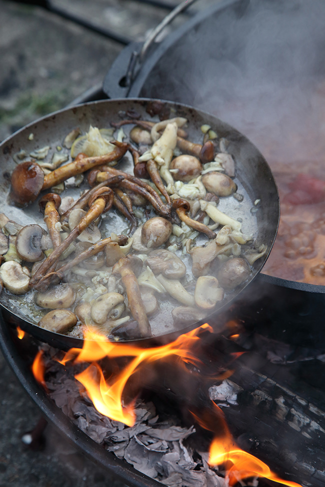 Linde 14 | Mushrooms