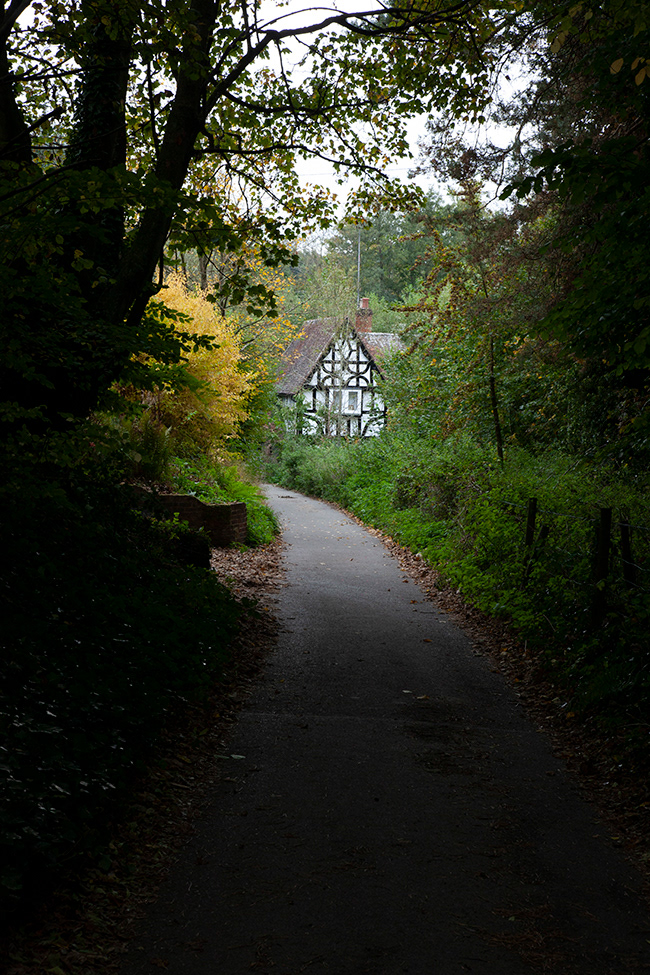Linde 08 | Shere 08, UK