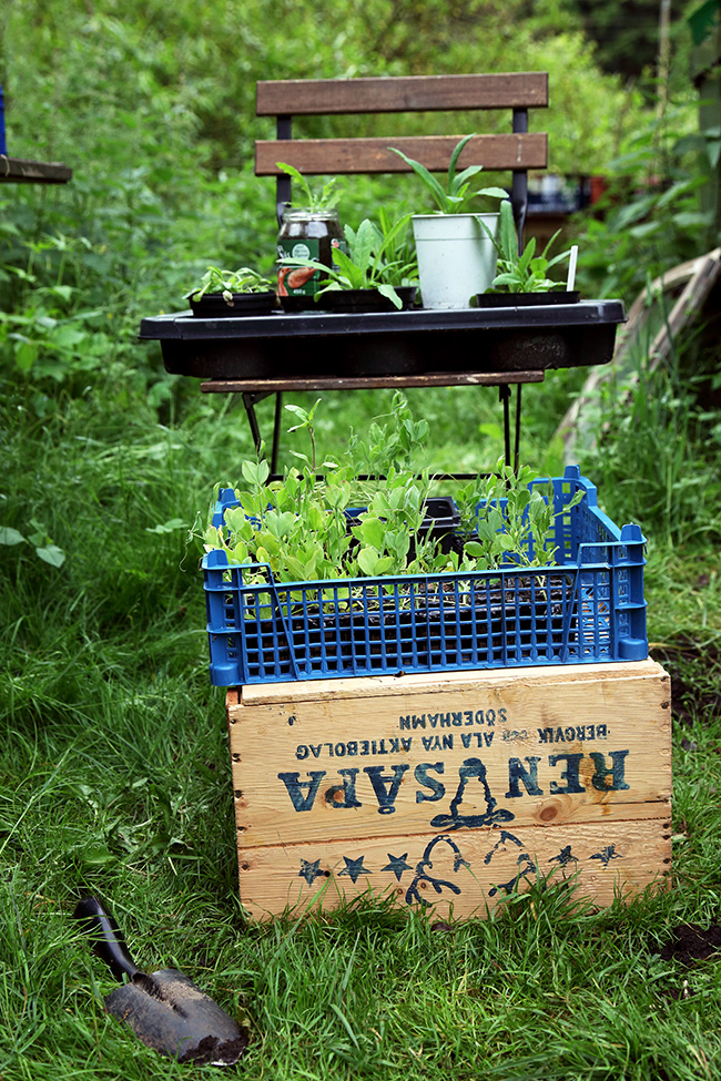 Gone Gardening 06
