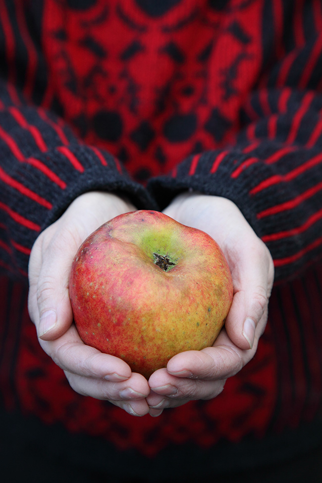 Just Food 10 | Apple