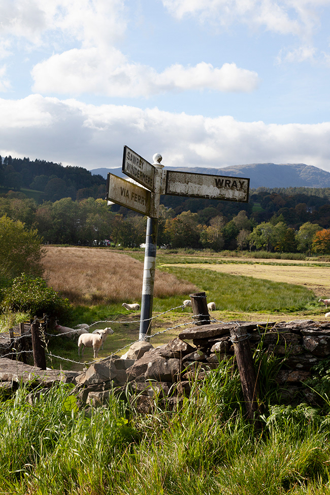 Lakeland 16 | Near Hawkshead, Lake District, UK