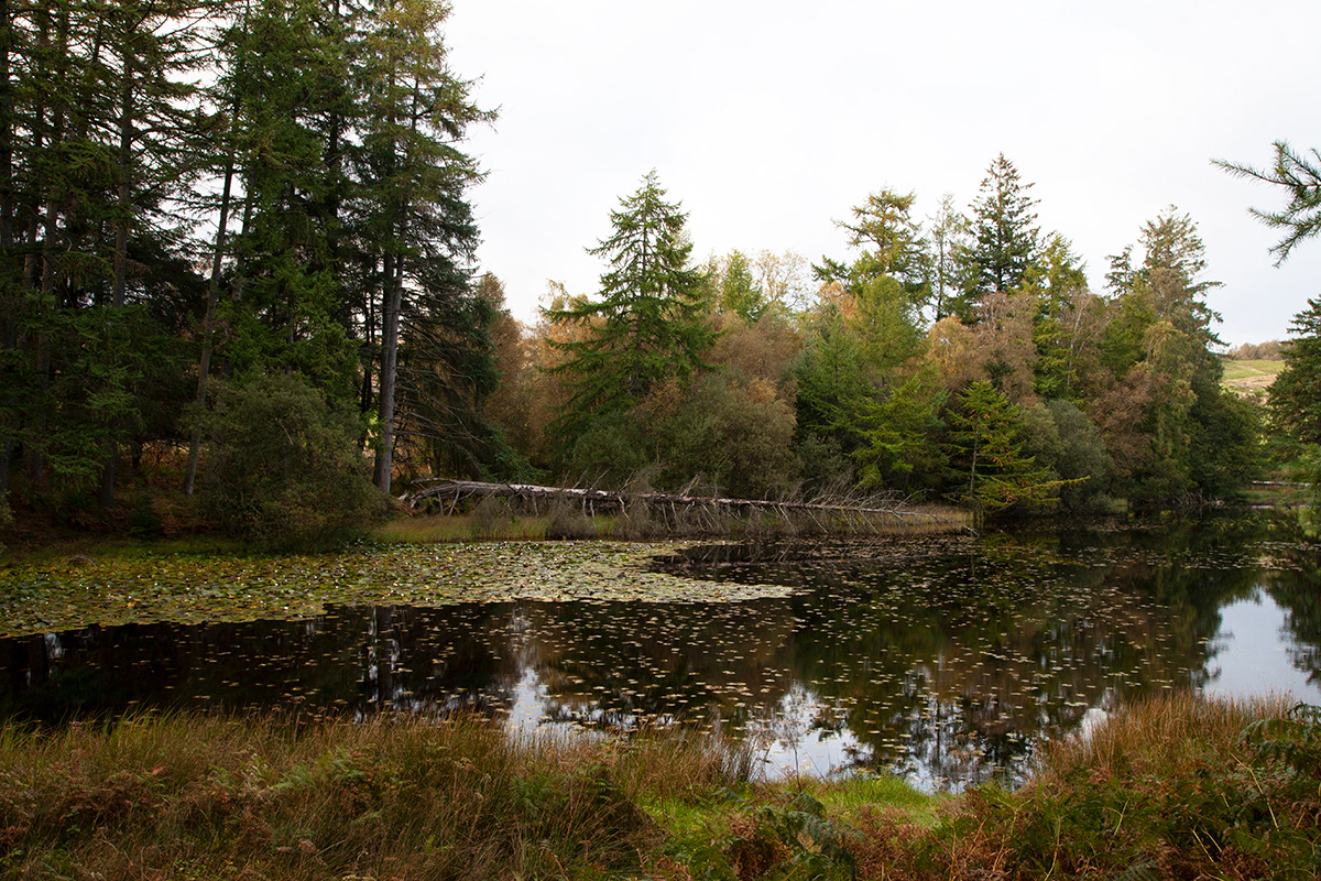 Lakeland 11 | Lake District, UK
