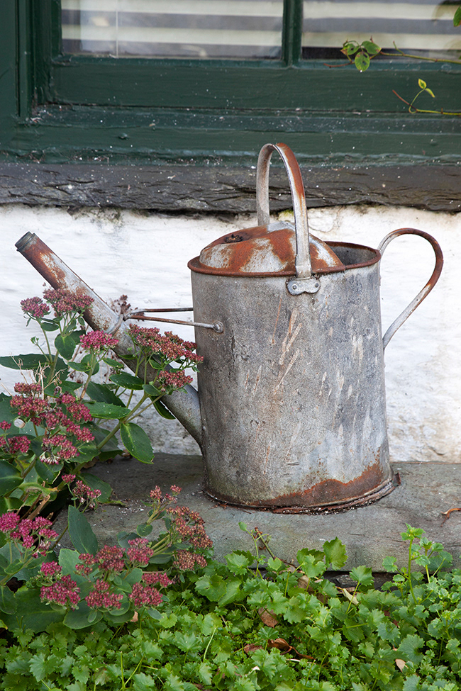 Gone Gardening 31