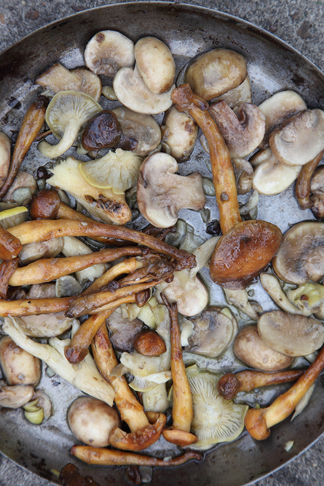 Just Food 42 | Mushrooms